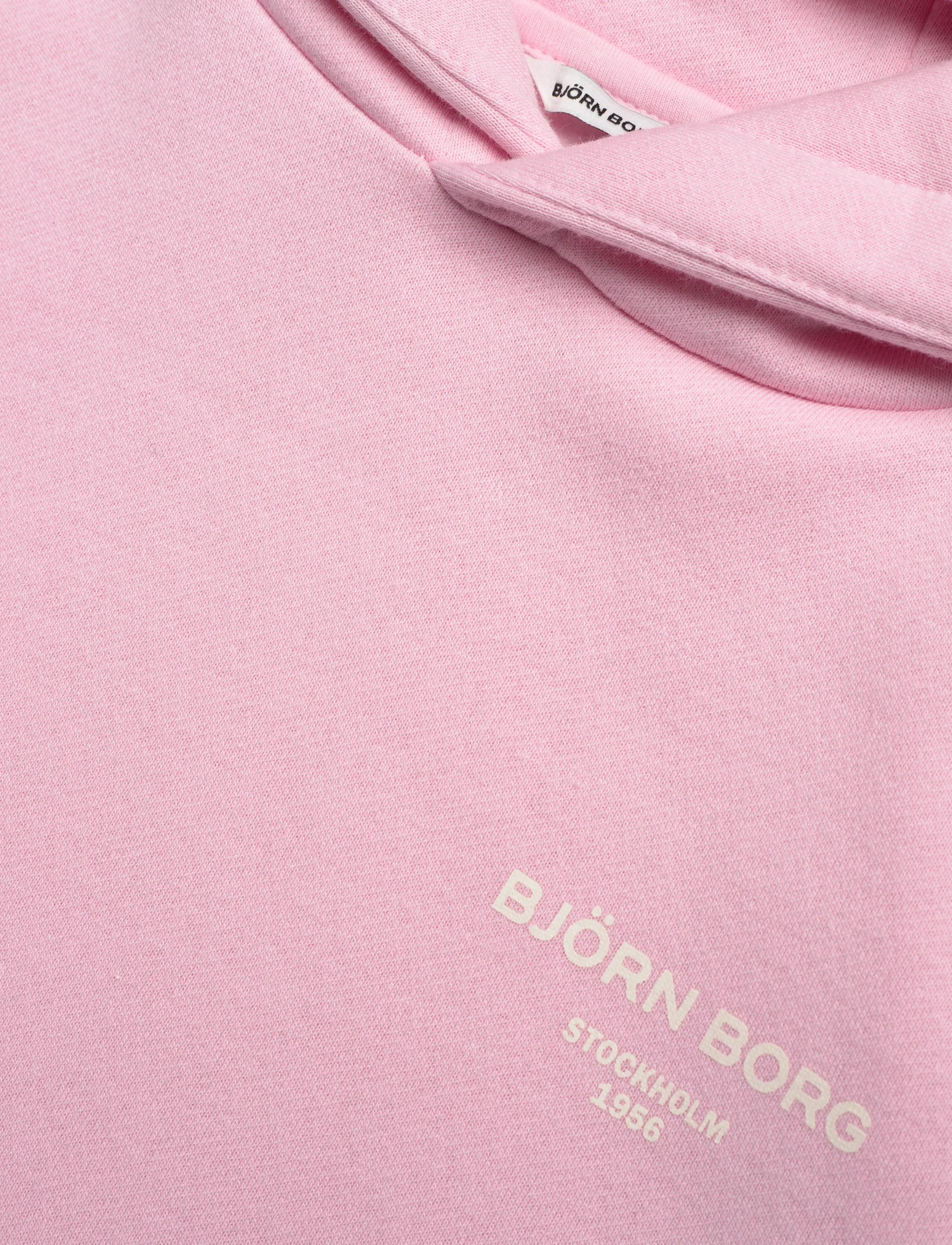 Björn Borg - BORG ESSENTIAL 1 HOODIE - kapuzenpullover - fairy tale - 2
