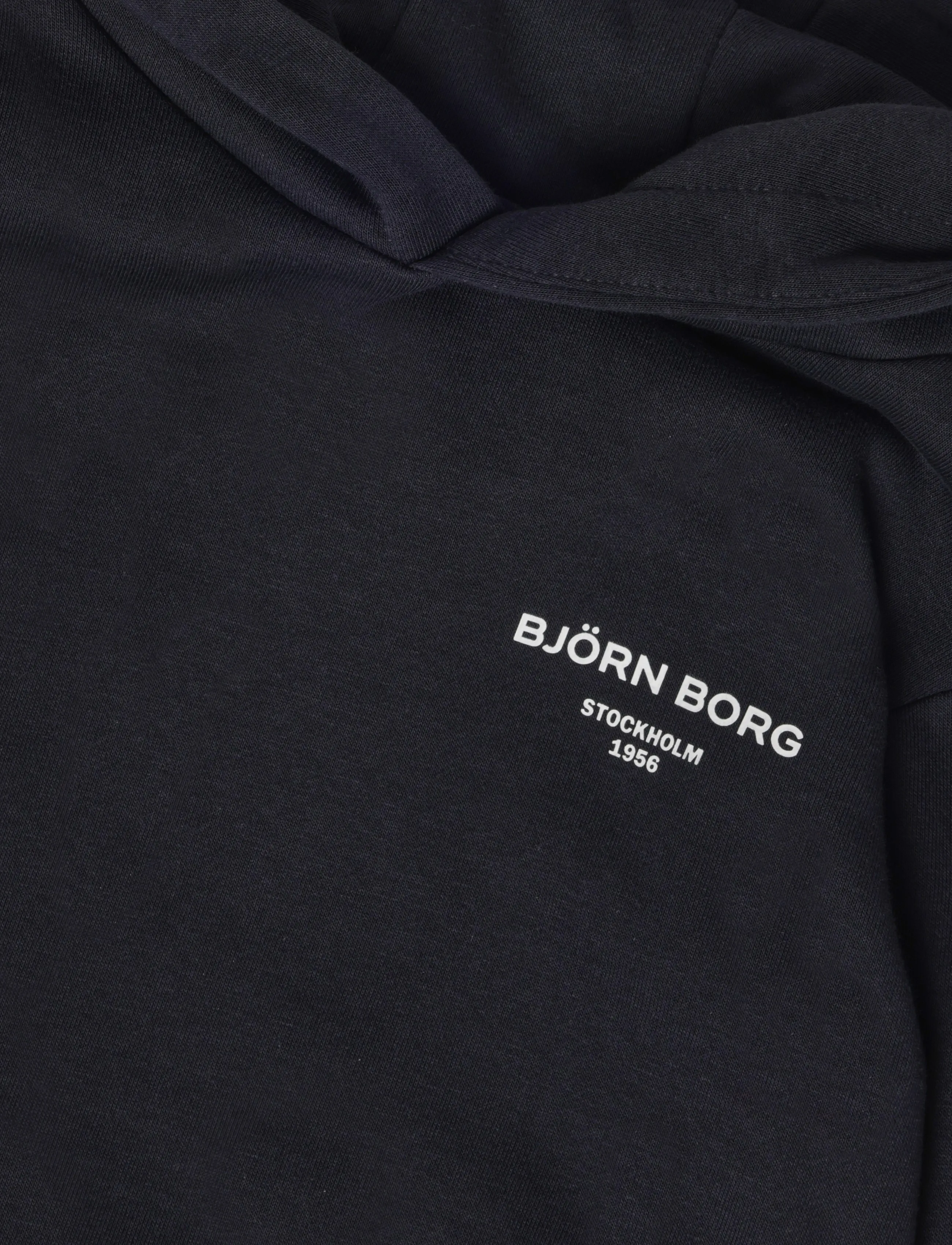 Björn Borg - BORG ESSENTIAL 1 HOODIE - huvtröjor - night sky - 2
