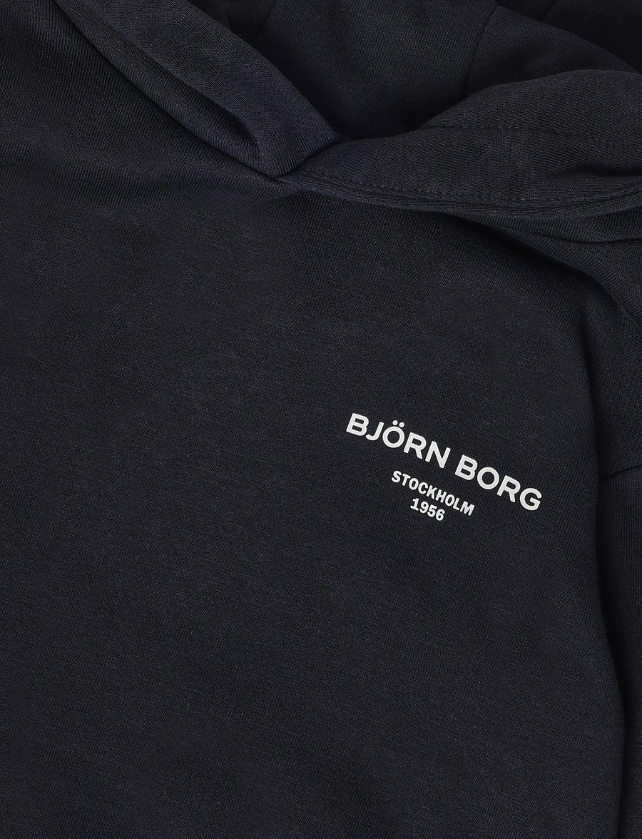 Björn Borg - BORG ESSENTIAL 1 HOODIE - huvtröjor - night sky - 2