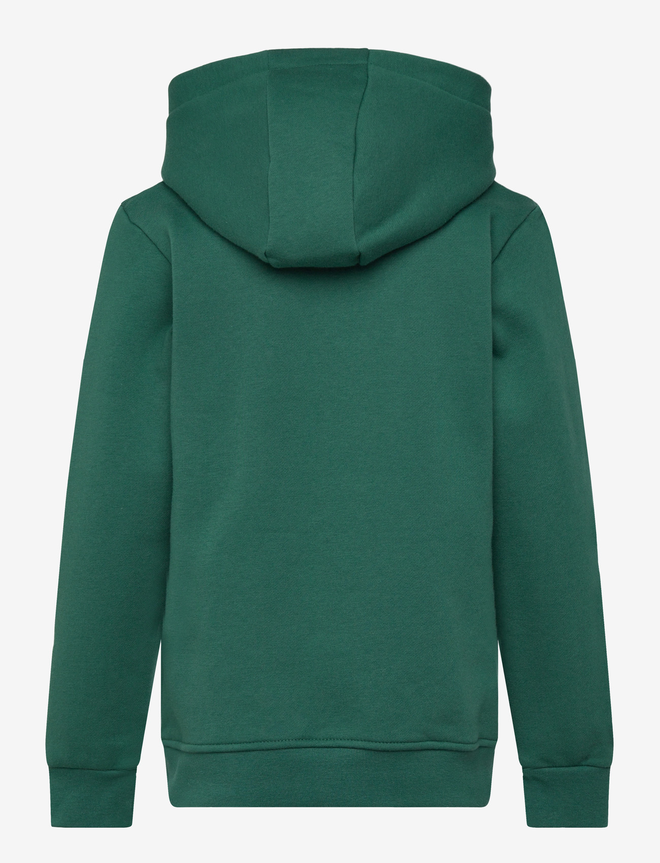 Björn Borg - BORG ESSENTIAL 1 HOODIE - kapuzenpullover - posy green - 1