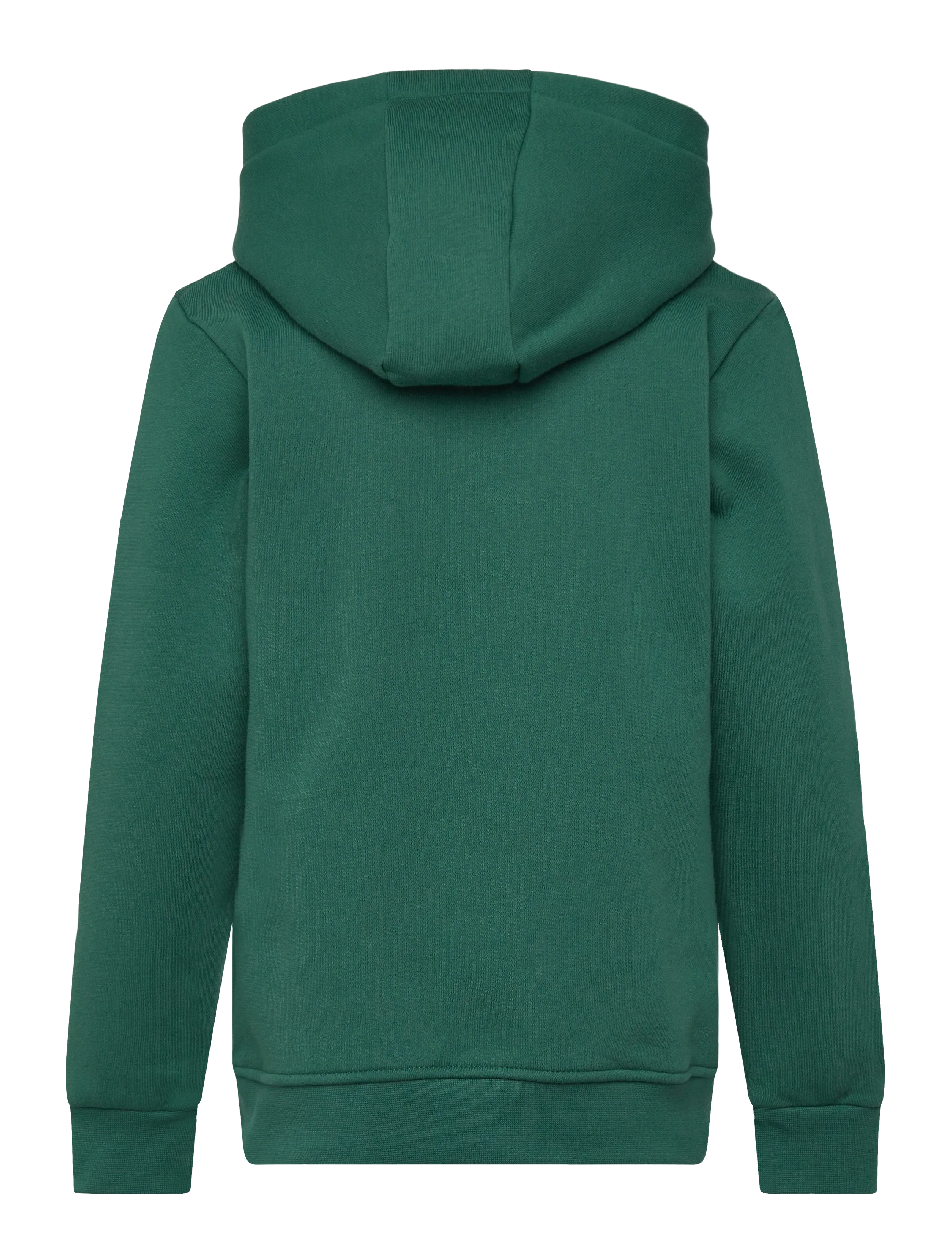 Björn Borg - BORG ESSENTIAL 1 HOODIE - huvtröjor - posy green - 1