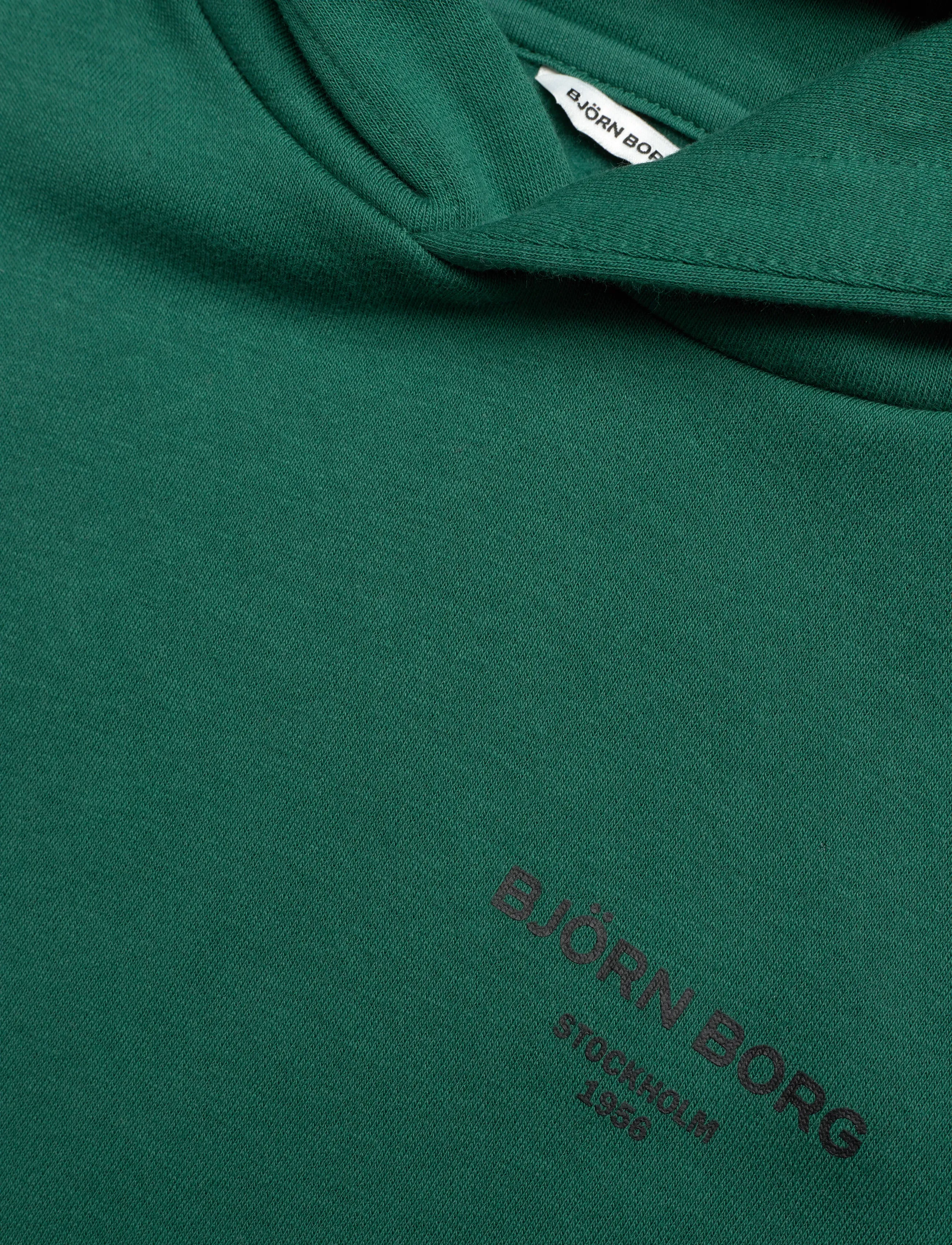 Björn Borg - BORG ESSENTIAL 1 HOODIE - huvtröjor - posy green - 2