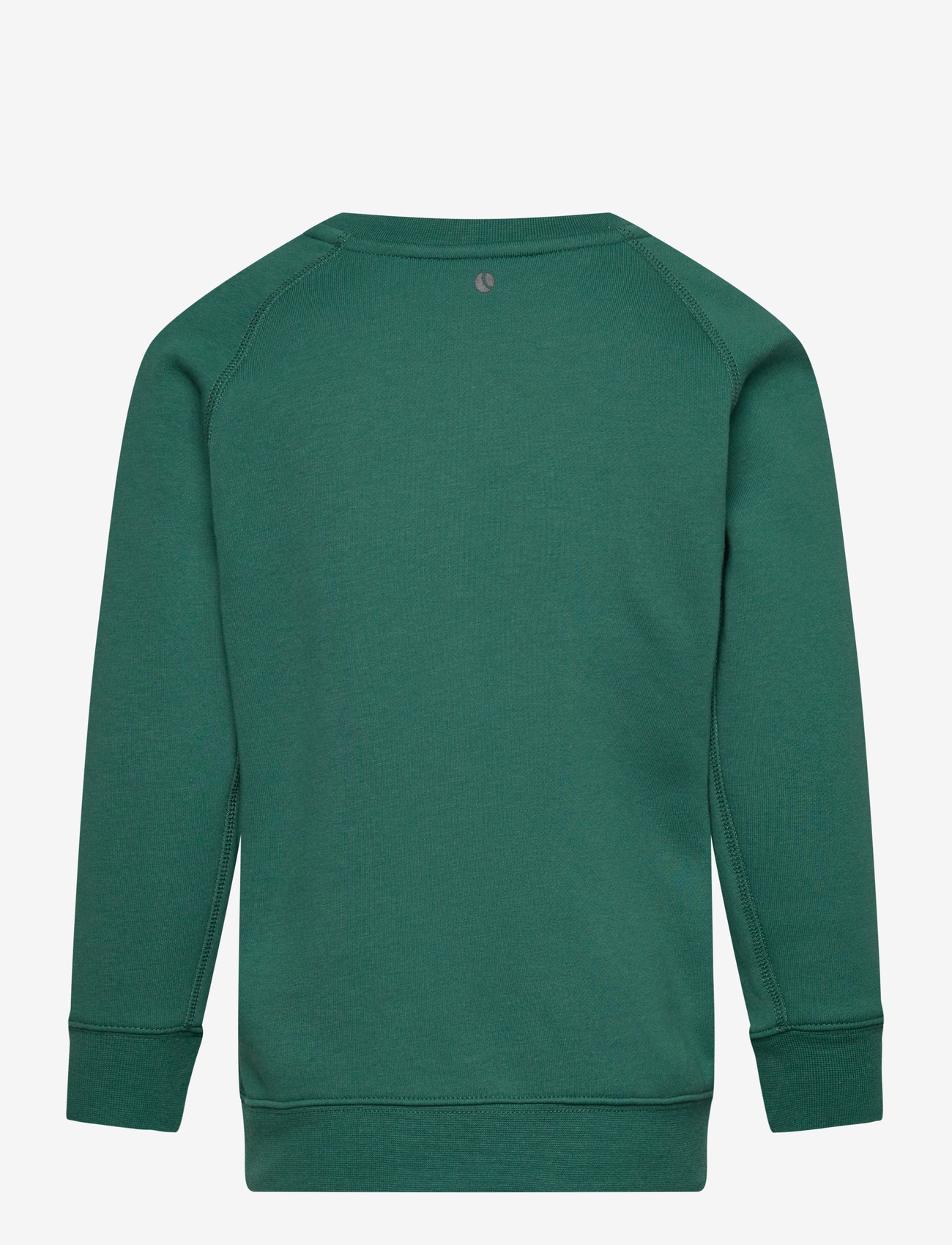 Björn Borg - BORG ESSENTIAL 1 SWEATSHIRT - sweatshirts - posy green - 1