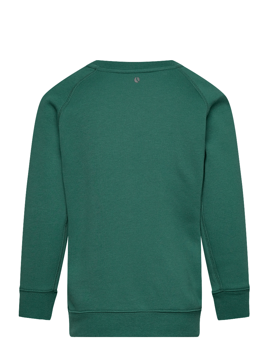 Björn Borg - BORG ESSENTIAL 1 SWEATSHIRT - sweatshirts - posy green - 1