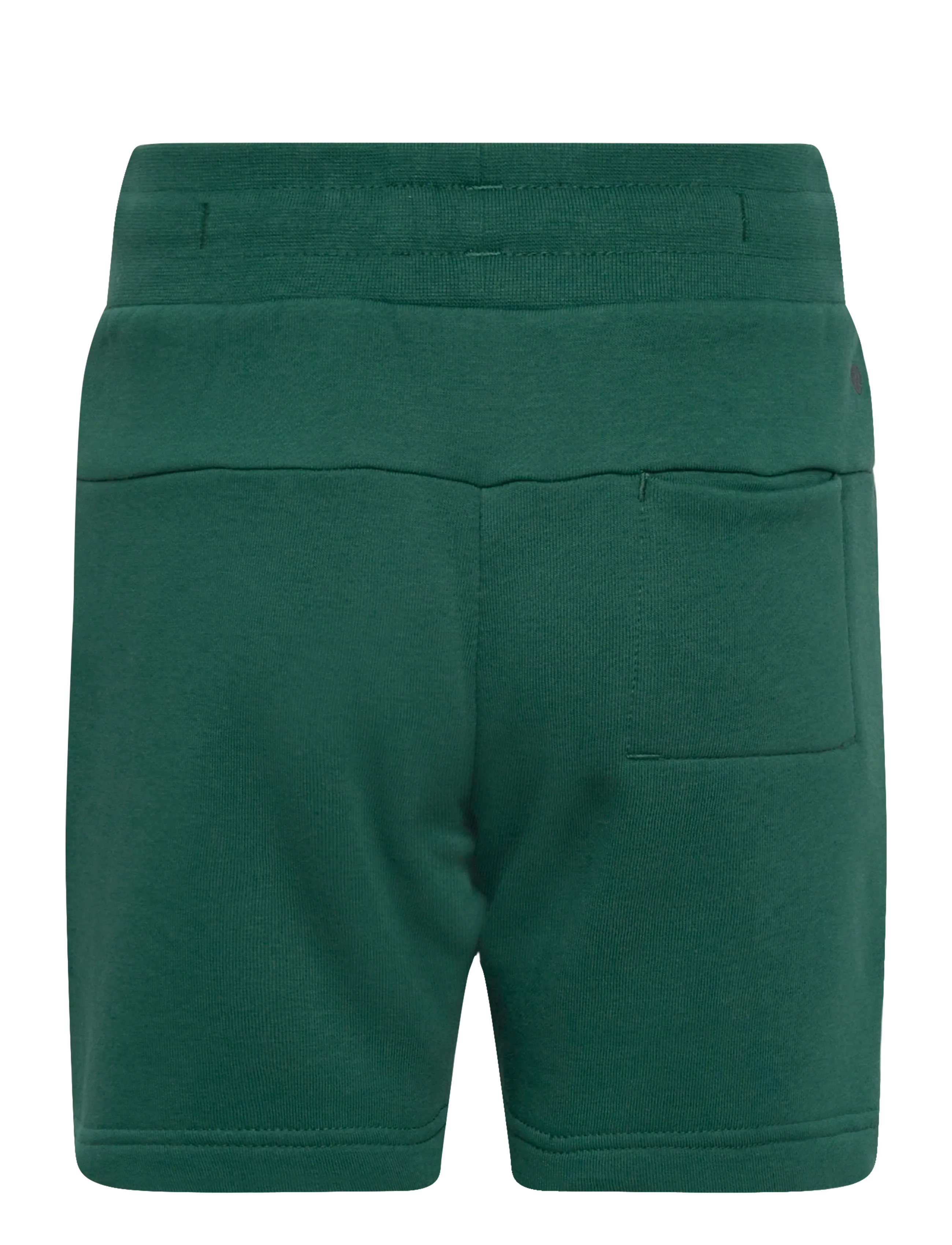 Björn Borg - BORG ESSENTIAL 1 SWEATSHORTS - shorts - posy green - 1