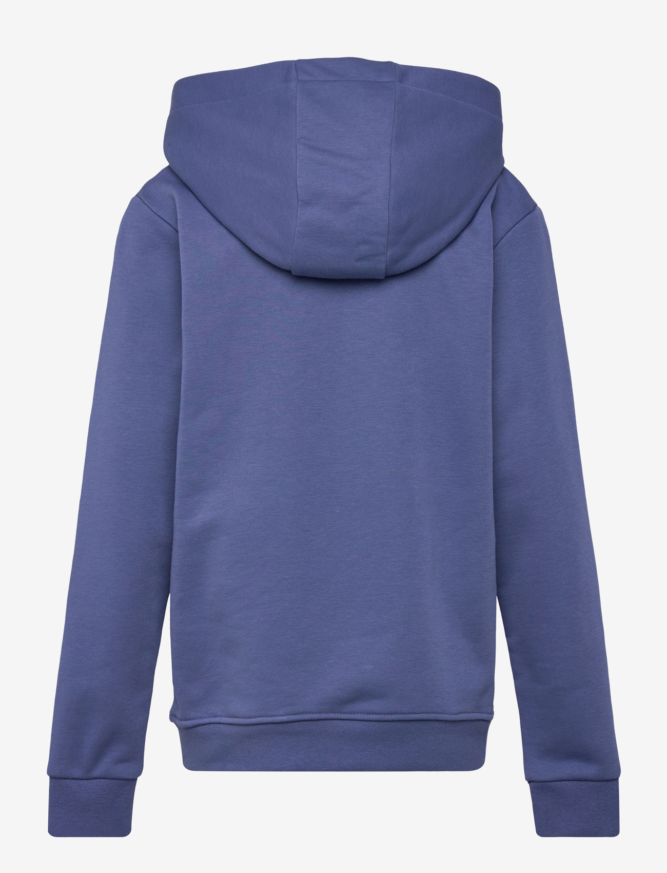 Björn Borg - BORG ESSENTIAL 4 HOODIE - kapuzenpullover - coastal fjord - 1