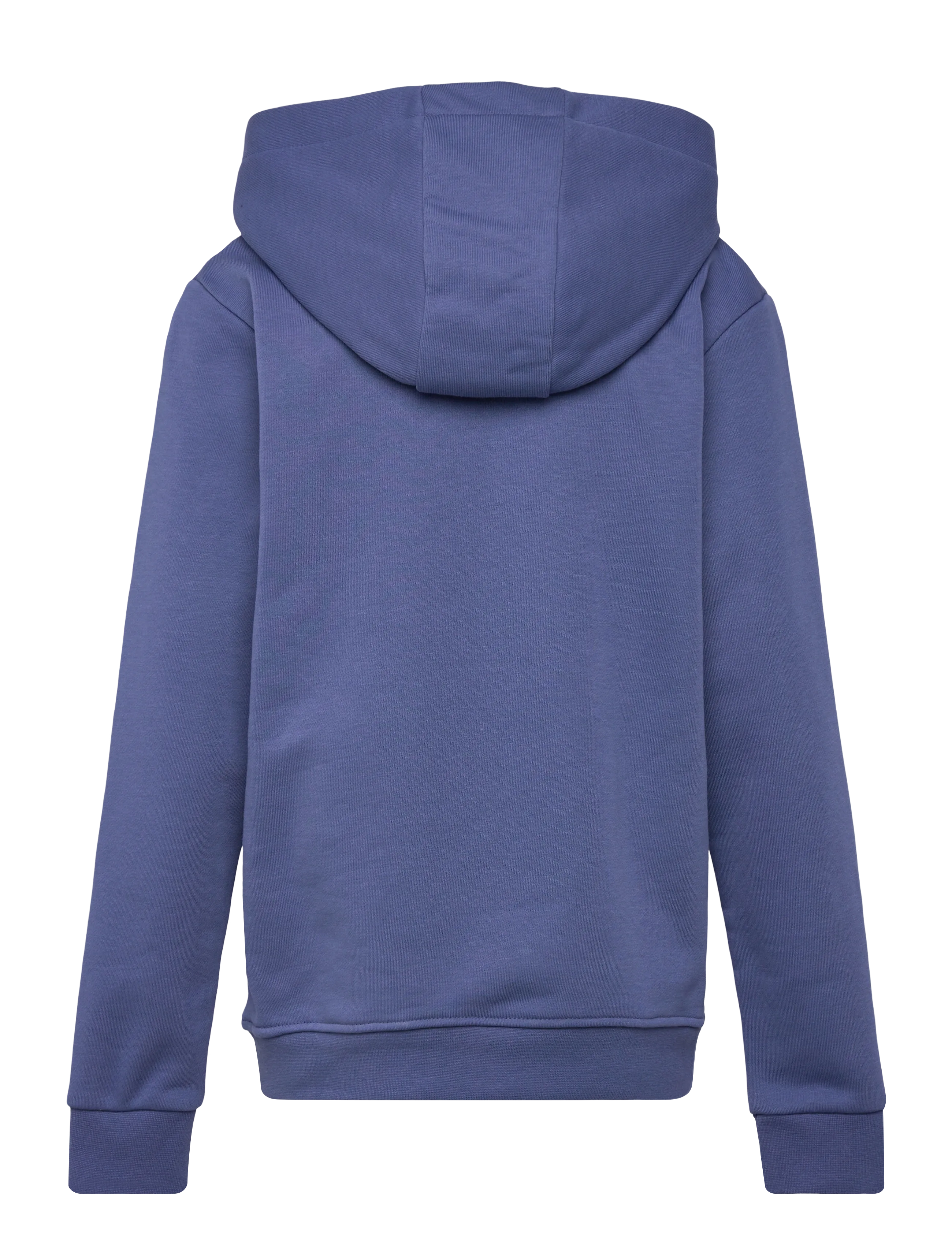 Björn Borg - BORG ESSENTIAL 4 HOODIE - kapuzenpullover - coastal fjord - 1