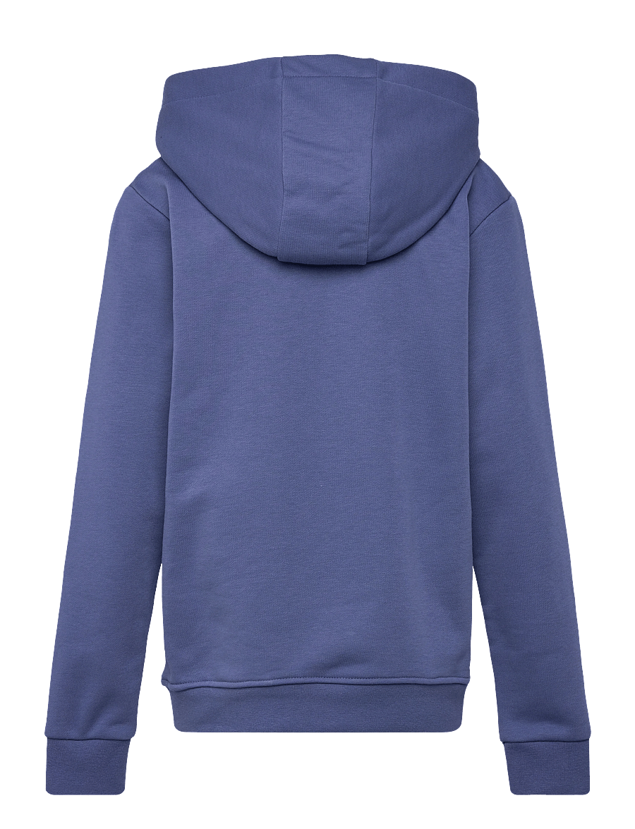 Björn Borg - BORG ESSENTIAL 4 HOODIE - kapuzenpullover - coastal fjord - 1