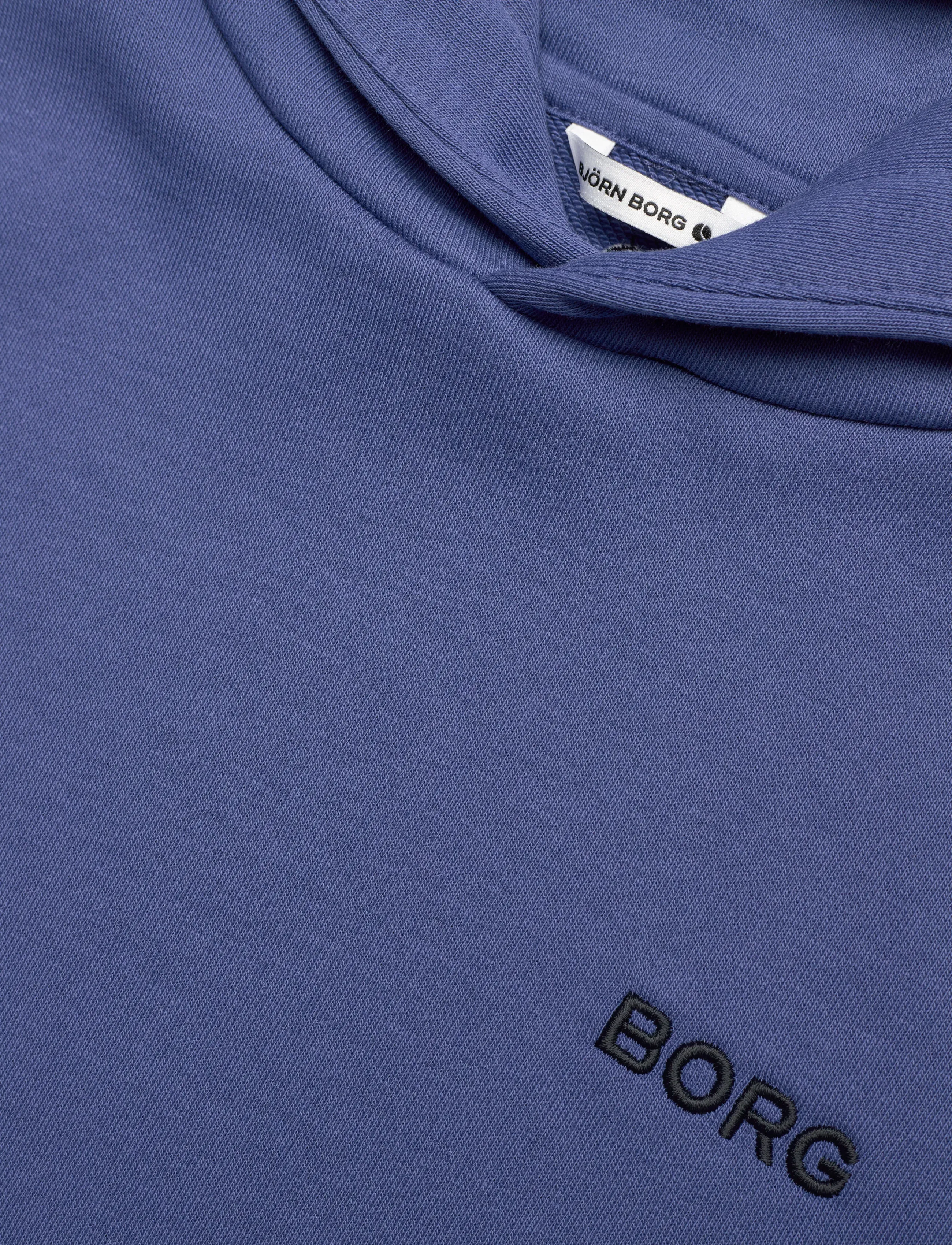 Björn Borg - BORG ESSENTIAL 4 HOODIE - kapuzenpullover - coastal fjord - 2