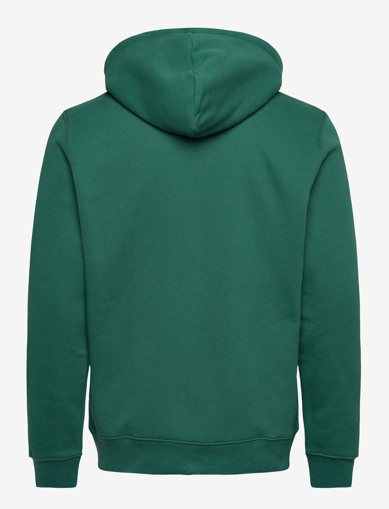 Björn Borg - BORG ESSENTIAL 1 ZIP HOODIE - oberteile - posy green - 1