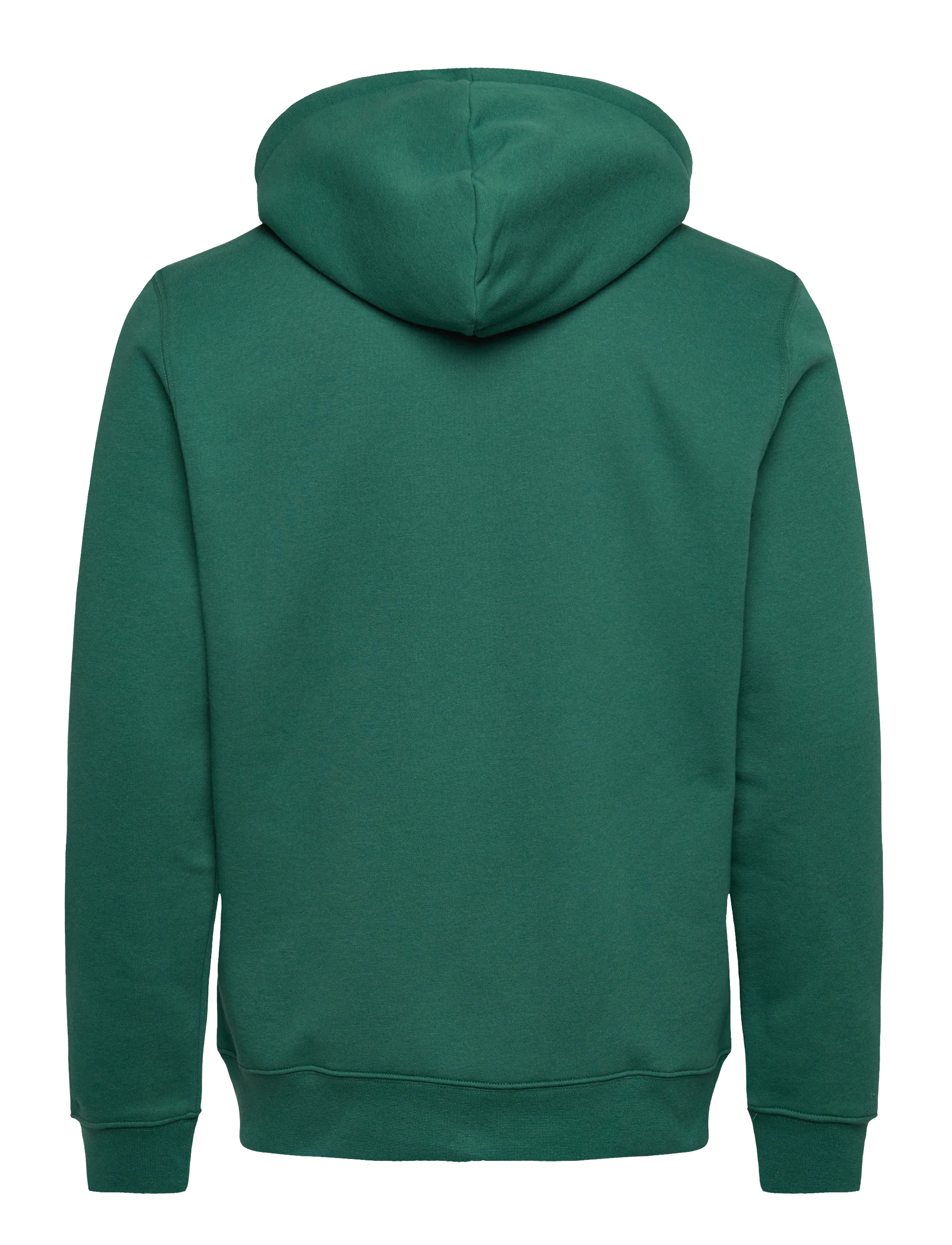 Björn Borg - BORG ESSENTIAL 1 ZIP HOODIE - tops - posy green - 2