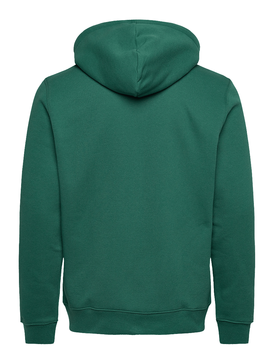 Björn Borg - BORG ESSENTIAL 1 ZIP HOODIE - tops - posy green - 2