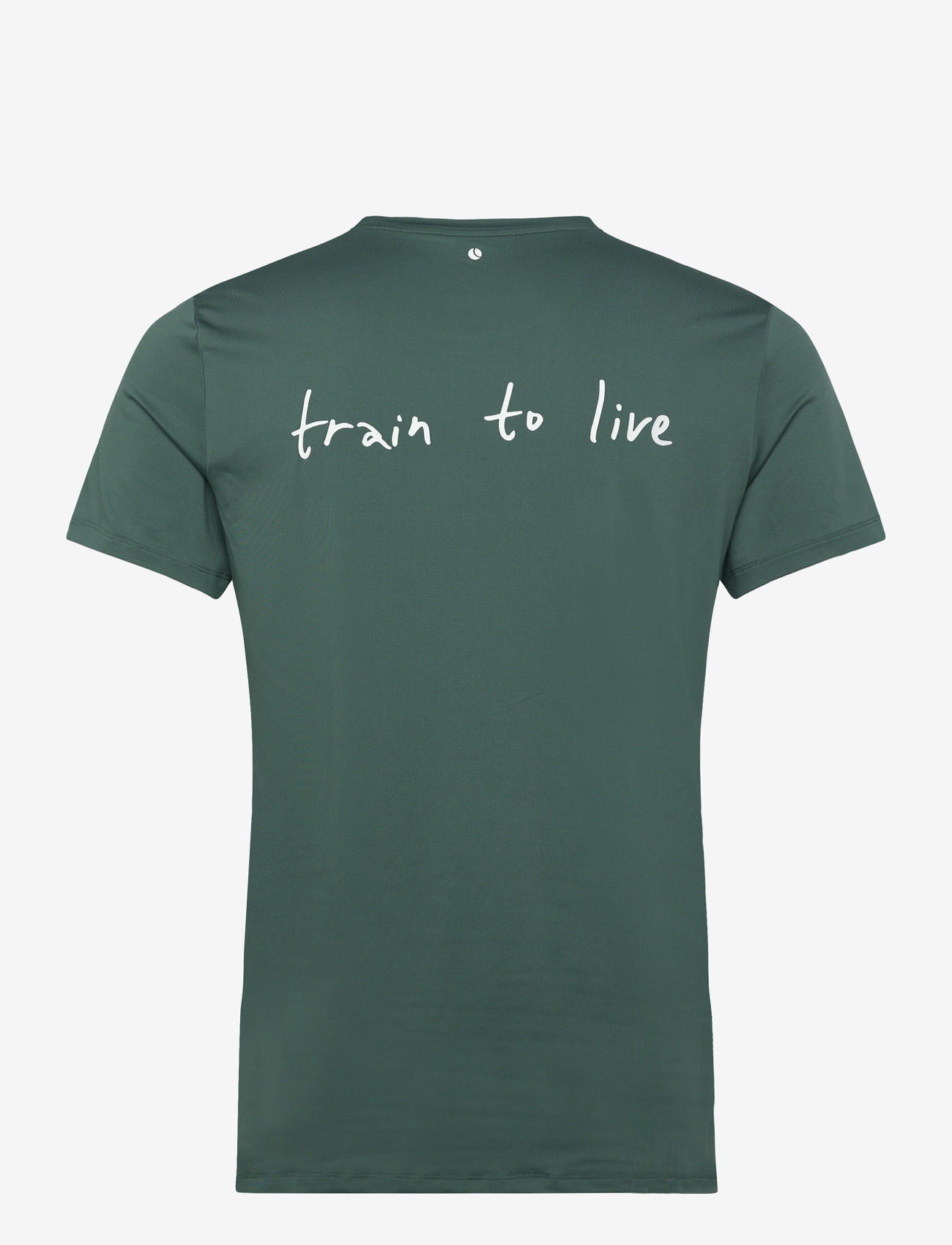 Björn Borg - BORG GRAPHIC T-SHIRT - t-shirts - mallard green - 1