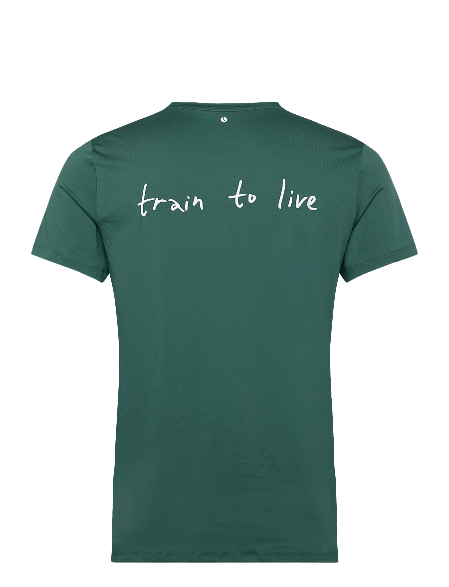 Björn Borg - BORG GRAPHIC T-SHIRT - tops & t-shirts - mallard green - 1