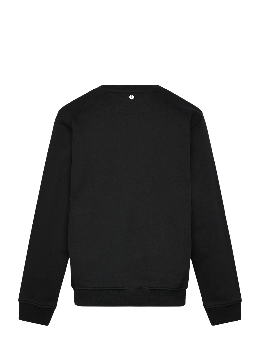 Björn Borg - BORG CLASSIC SWEATSHIRT - sweatshirts - black beauty - 1