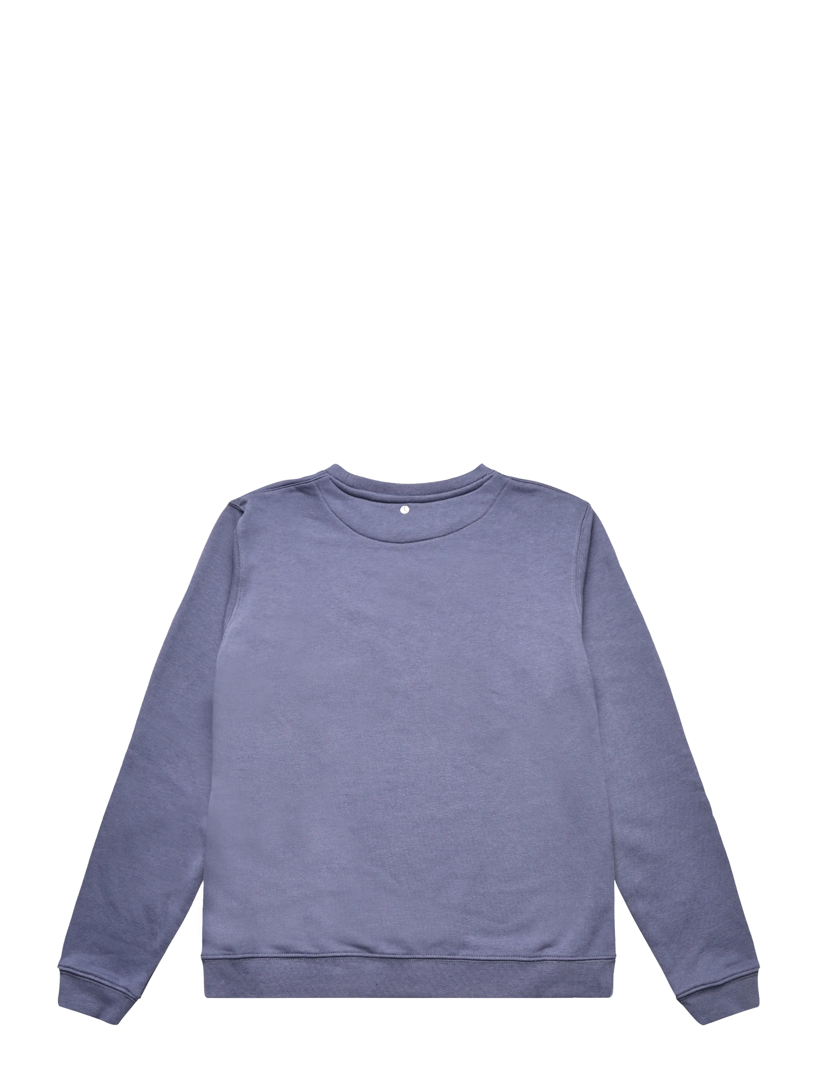 Björn Borg - BORG CLASSIC SWEATSHIRT - sweatshirts - nightshadow blue - 1