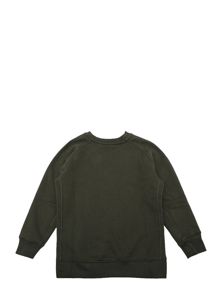 Björn Borg - BORG ESSENTIAL 3 SWEATSHIRT - sweatshirts - forest night - 1