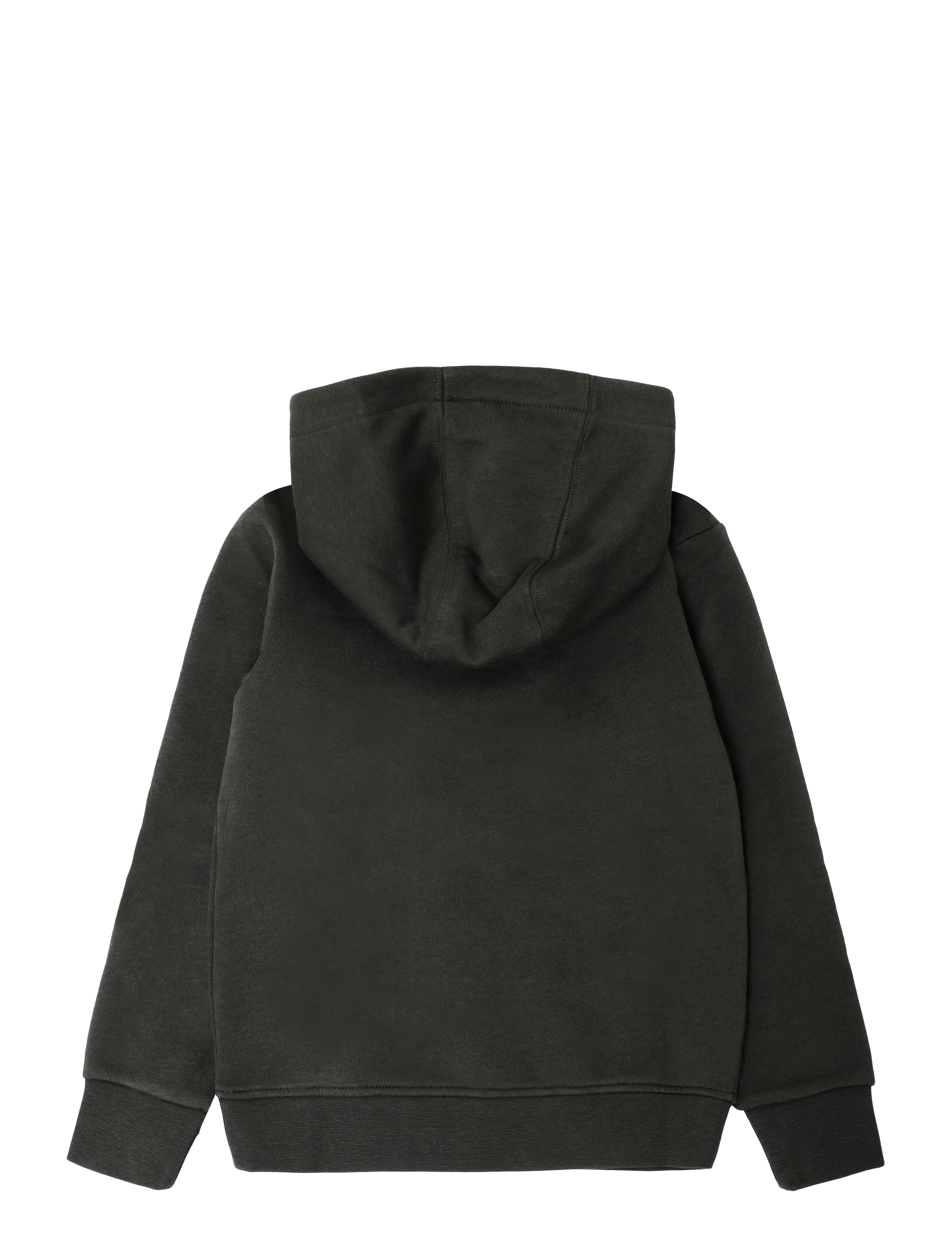Björn Borg - BORG ESSENTIAL 3 HOODIE - huvtröjor - forest night - 1