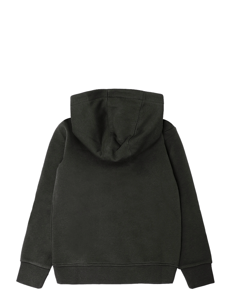 Björn Borg - BORG ESSENTIAL 3 HOODIE - huvtröjor - forest night - 1