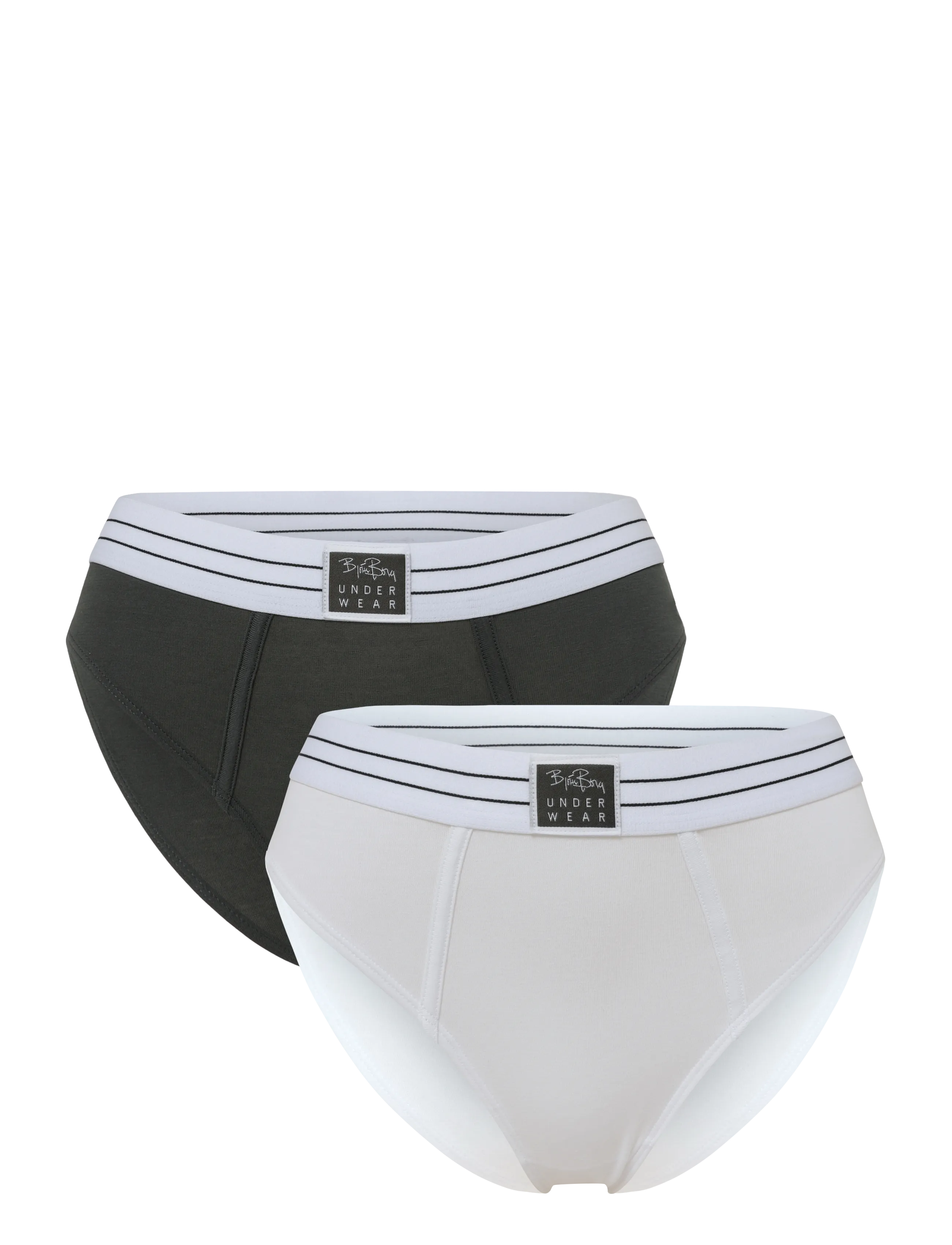 Björn Borg ORIGINAL BRIEF 2p - Kleidung - MULTIPACK 2 / multi