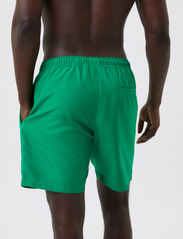 Björn Borg - BORG SWIM SHORTS - shorts - jolly green - 4