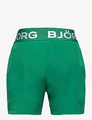 Björn Borg - BORG SHORTS - urheilushortsit - verdant green - 1