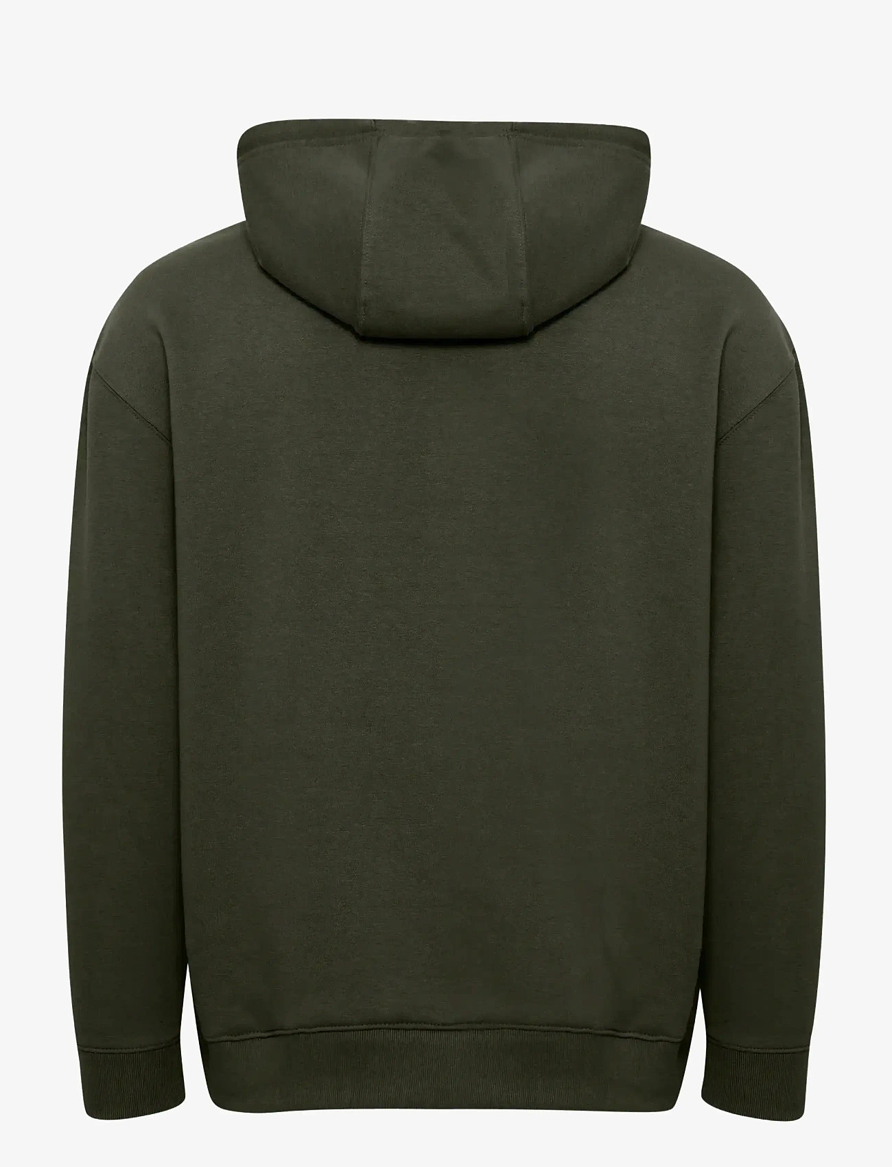 Blend - BHDOWNTON HOOD SWEAT - kapuutsiga dressipluusid - forest night - 1