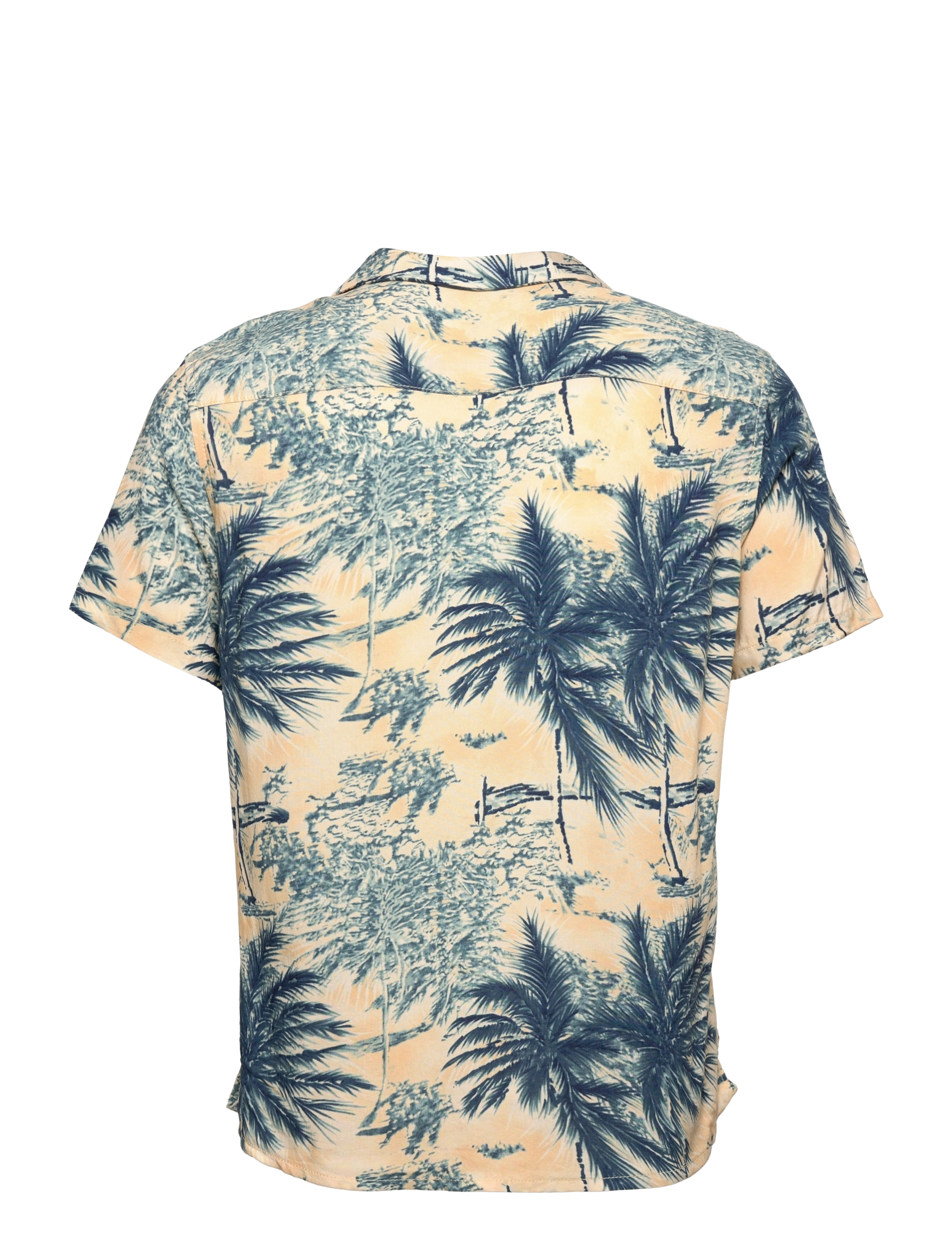Blend - Shirt - pineapple slice - 1