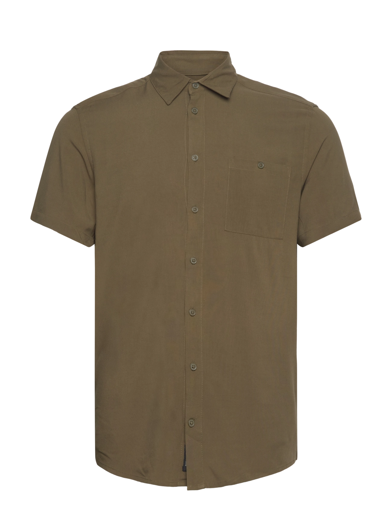 OLIVE NIGHT