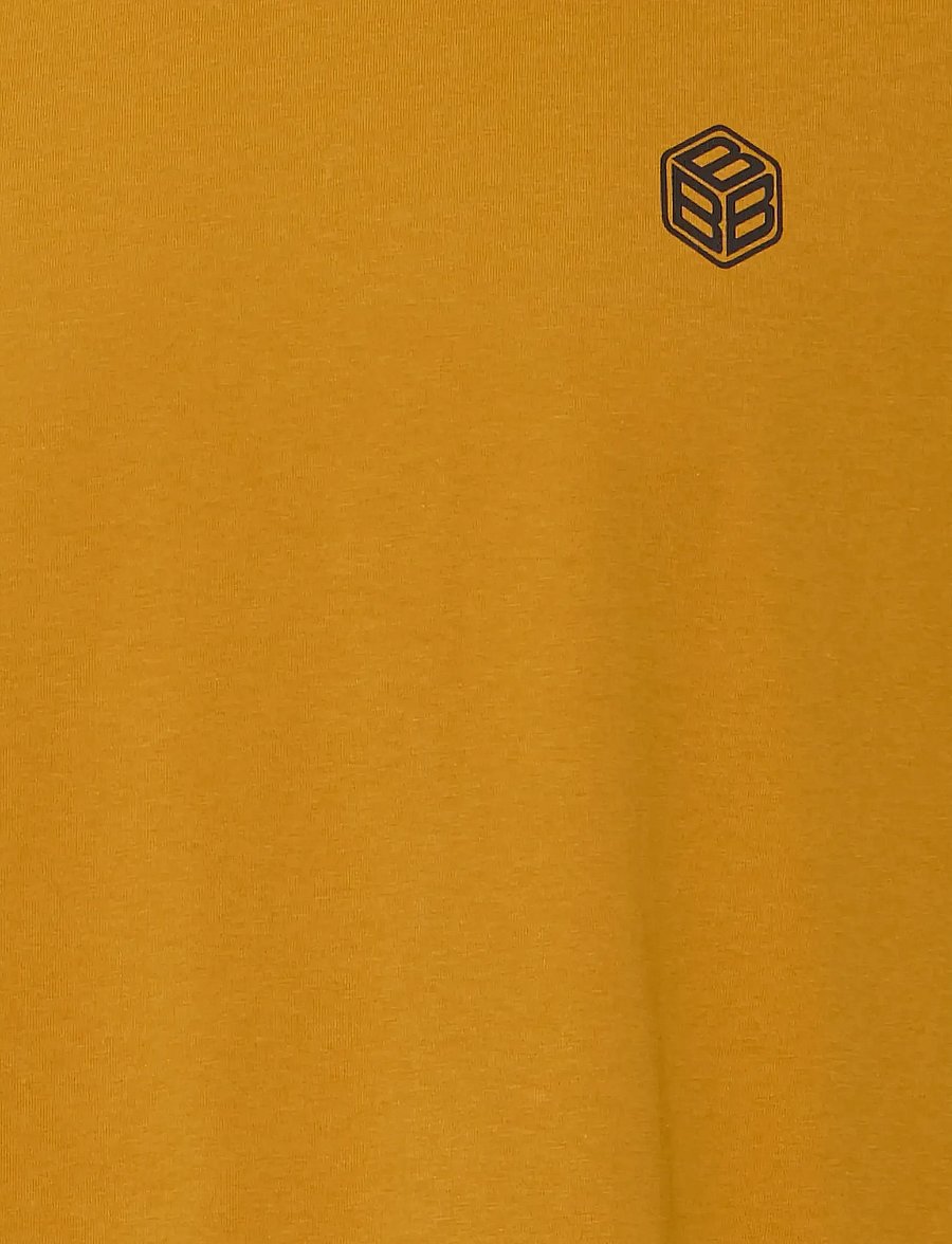 Blend - BHJUKAS tee - kurzärmelige t-shirts - buckthorn brown - 5