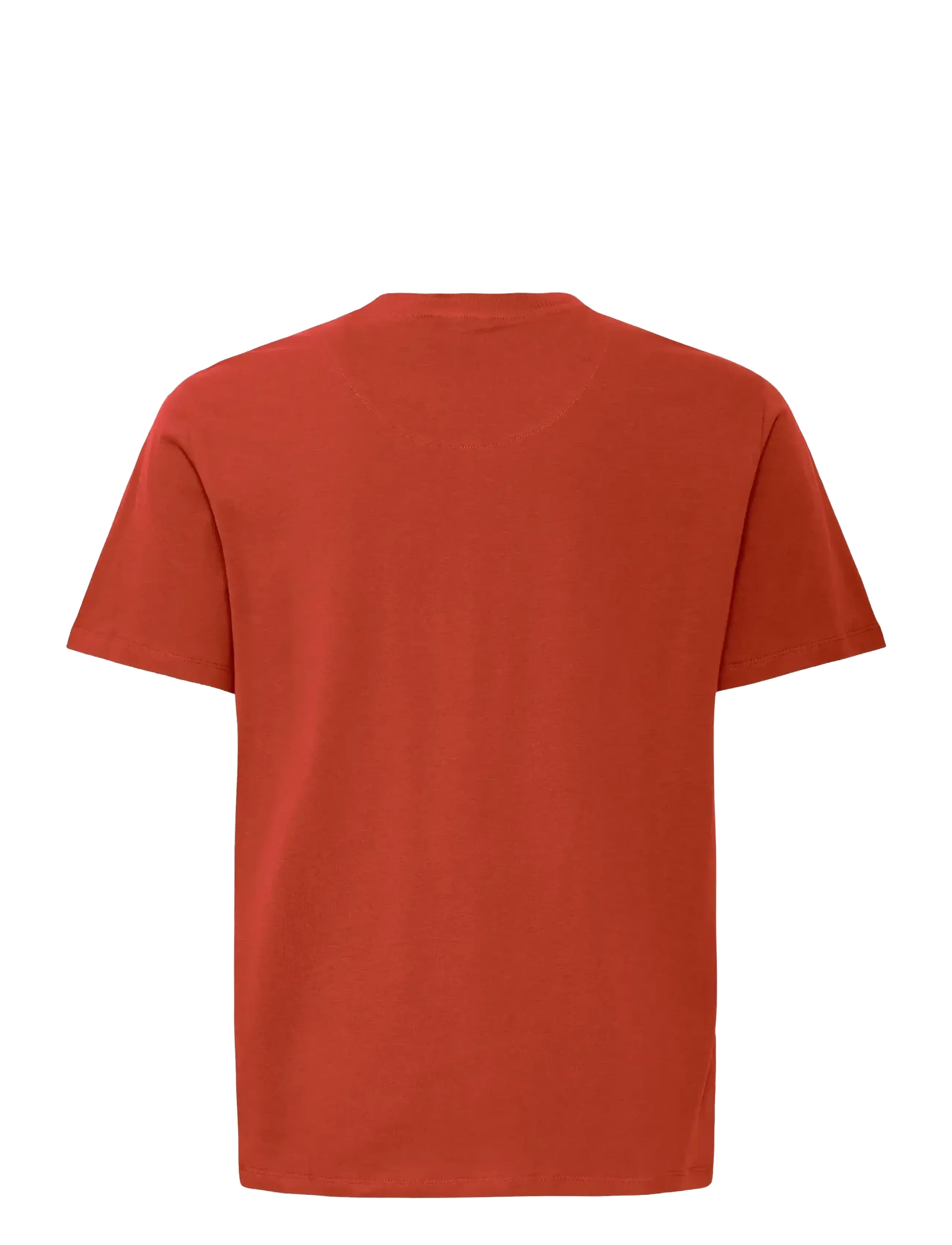 Blend - BHIVO tee - short-sleeved t-shirts - burnt henna - 2