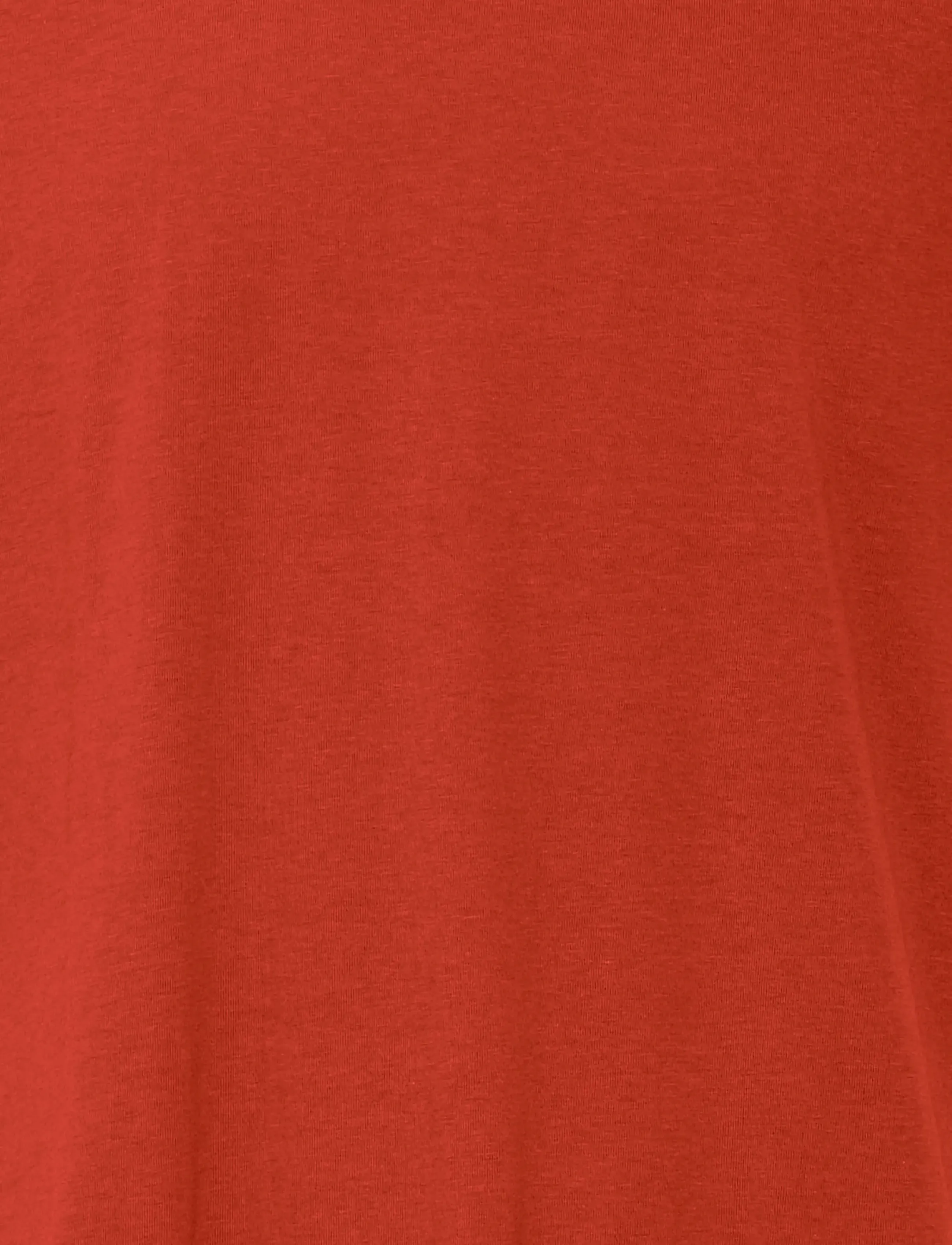 Blend - BHIVO tee - short-sleeved t-shirts - burnt henna - 5