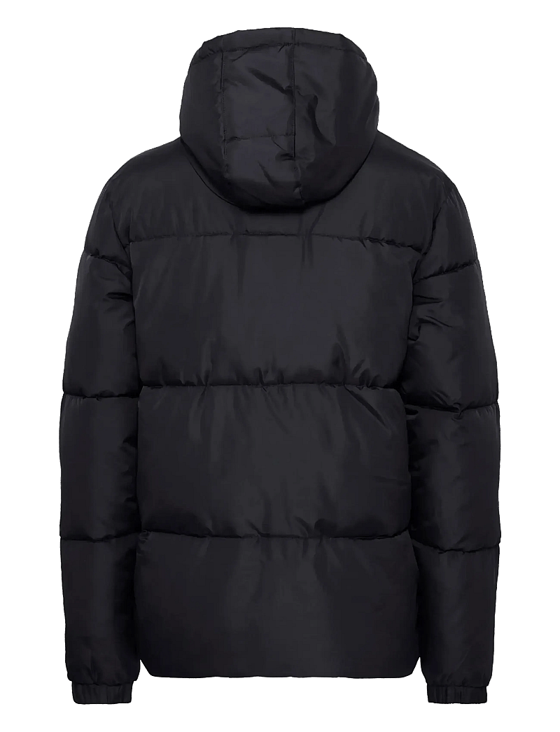 Blend - BHELWIN hood jacket - winterjacken - black - 2