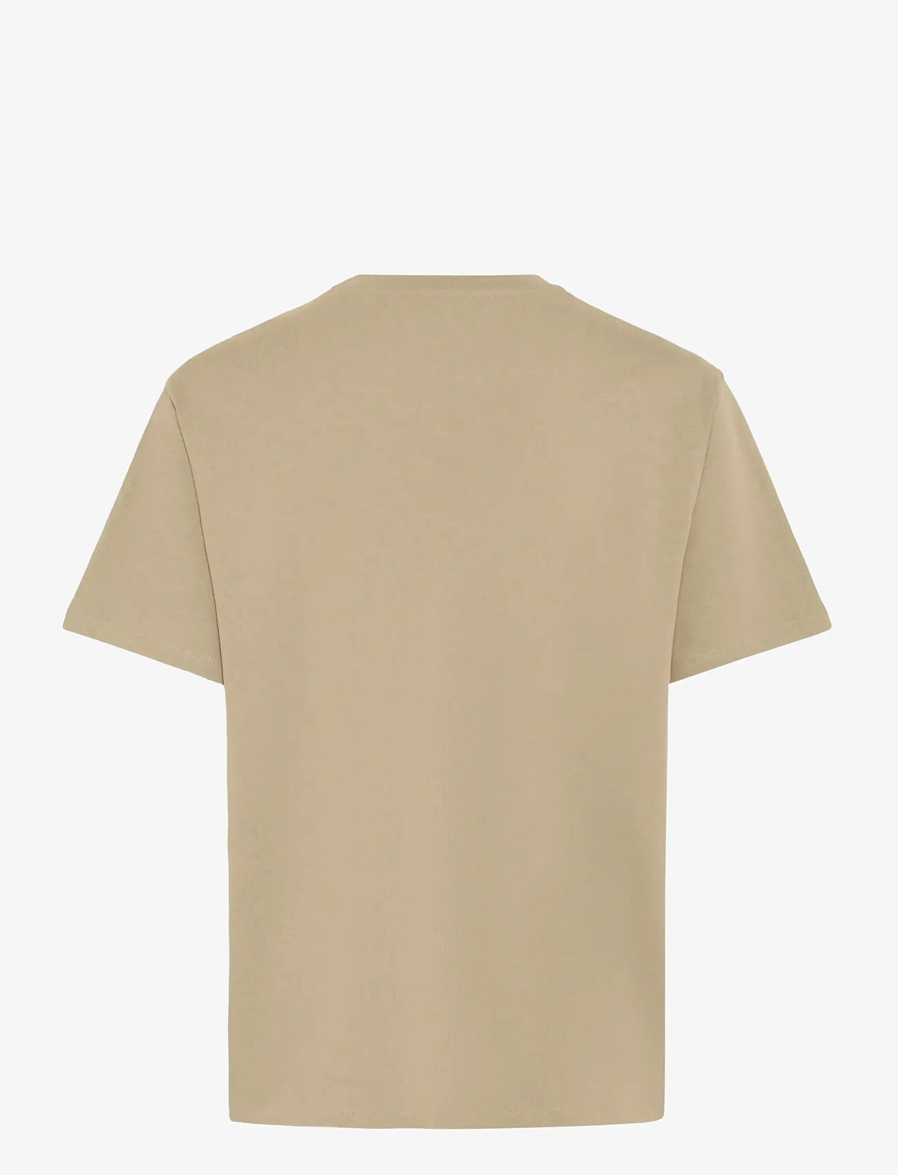 Blend - BHFISHER OVERSIZE TEE NOOS - kortærmede t-shirts - winter twig - 2