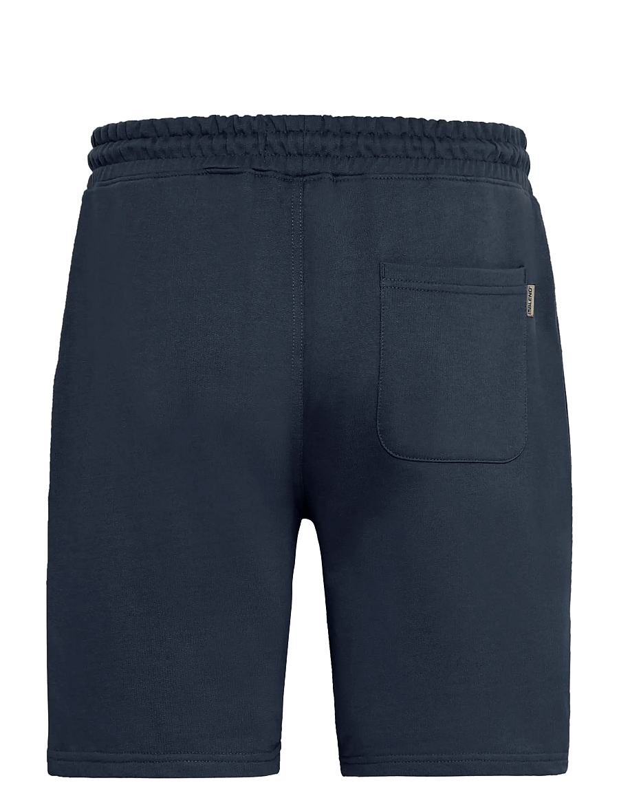 Blend - BHBRODY SHORTS - sweatshorts - salute - 2