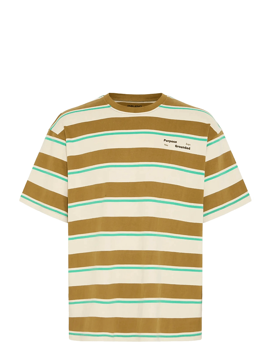 Blend - BHKYRAN STRIPE S/S TEE - lühikeste varrukatega t-särgid - oyster gray - 1