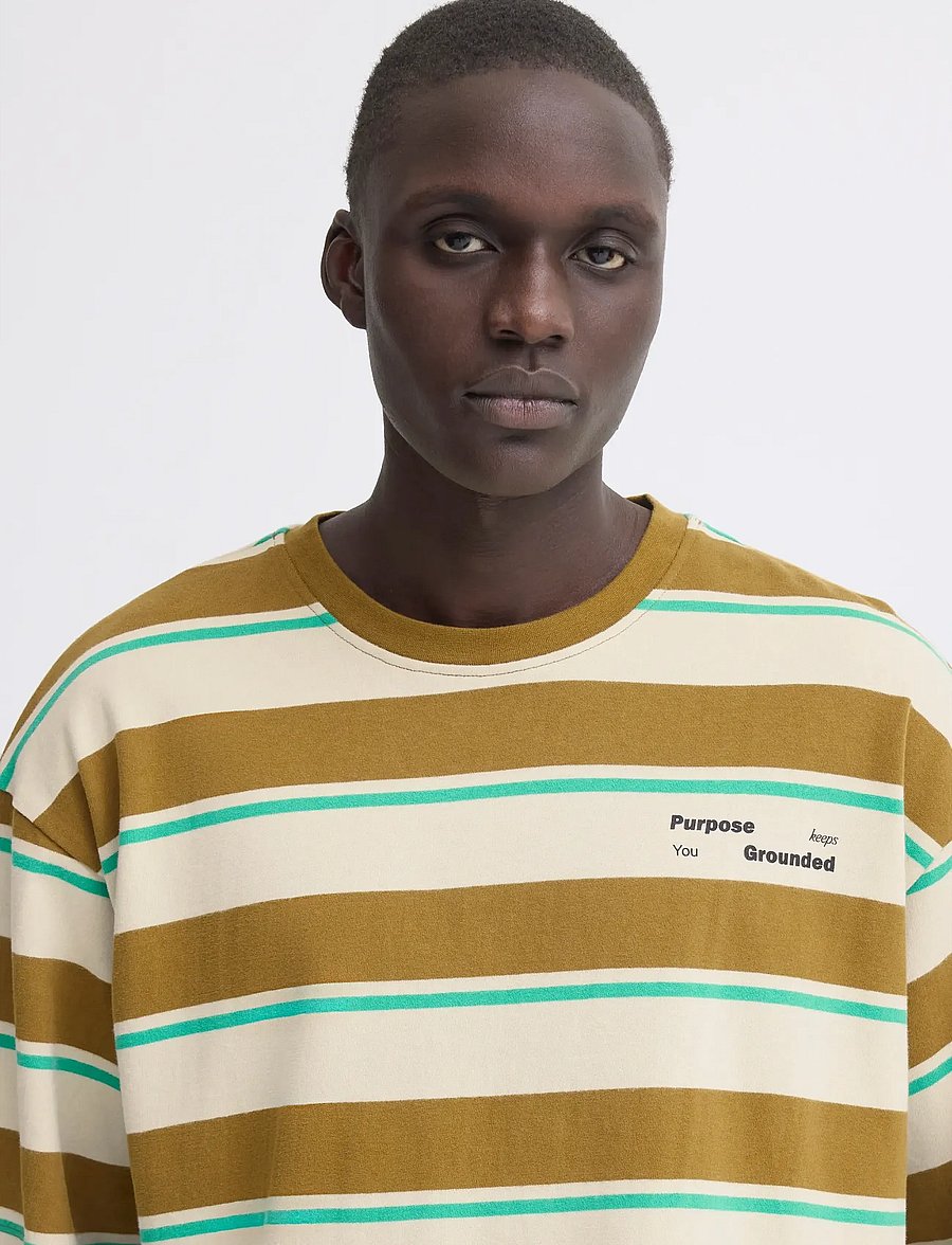 Blend - BHKYRAN STRIPE S/S TEE - lühikeste varrukatega t-särgid - oyster gray - 4