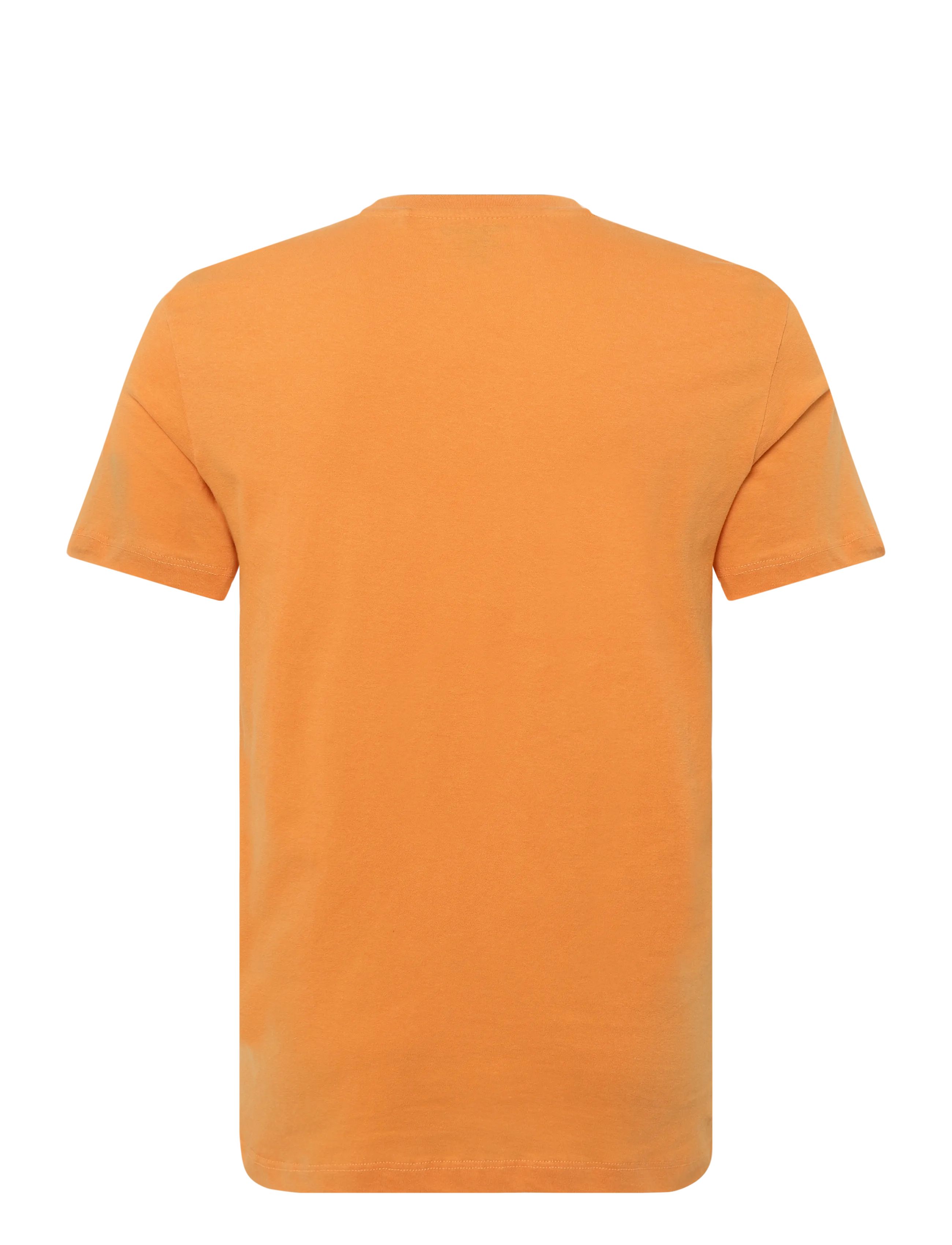 Blend - BHKRISTOFF GRAPHIC S/S TEE - kortärmade t-shirts - muskmelon - 1