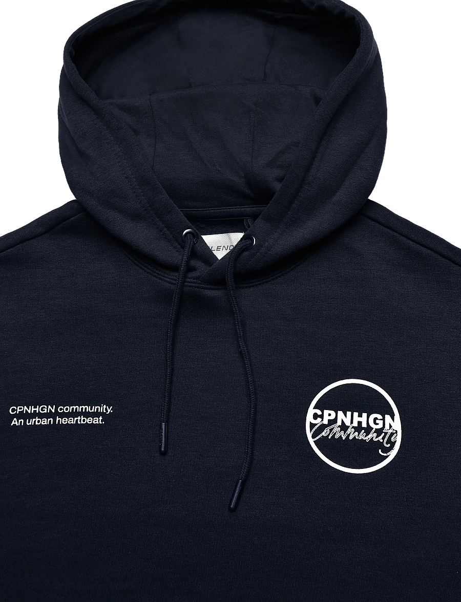 Blend - BHLOUIS GRAPHIC TXT HOOD SWEAT - kapuutsiga pusad - salute - 2