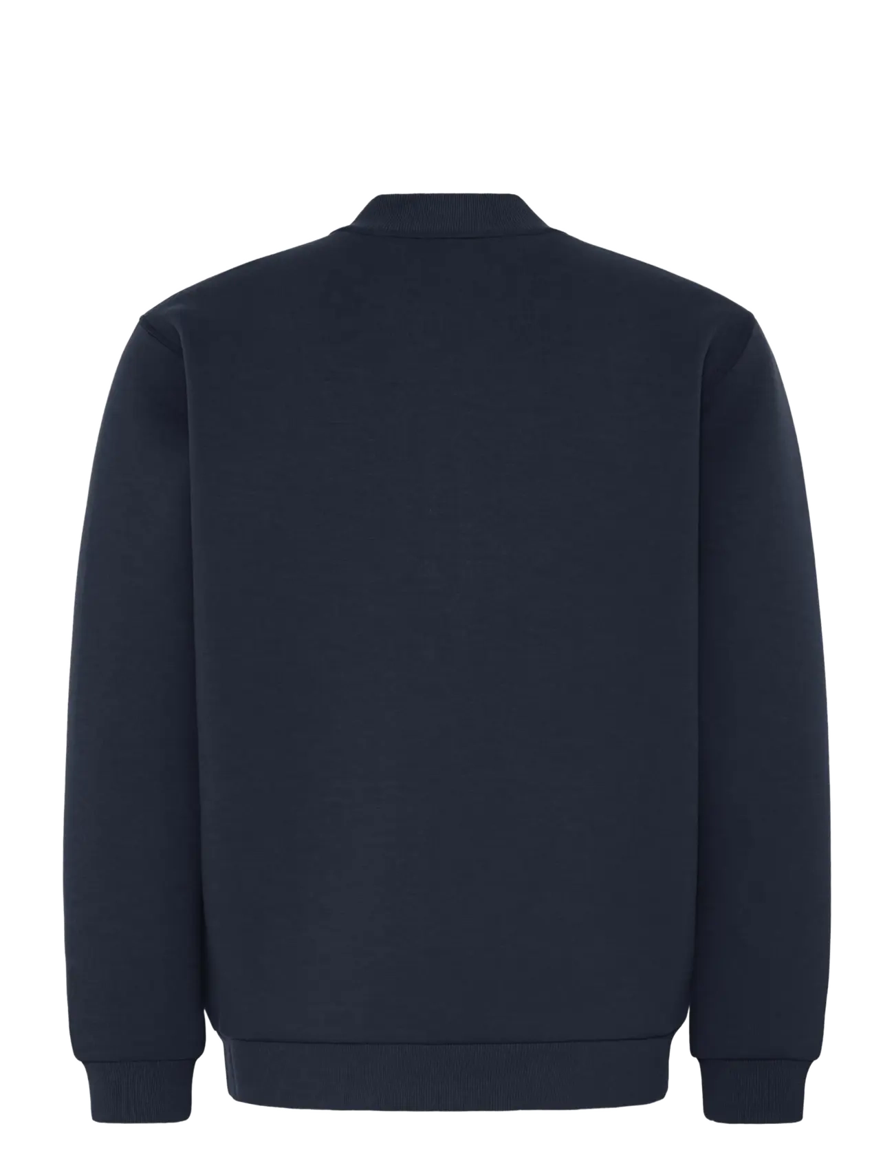 Blend - BHKEIRAN SCUBA BOMBER - forårsjakker - salute - 2