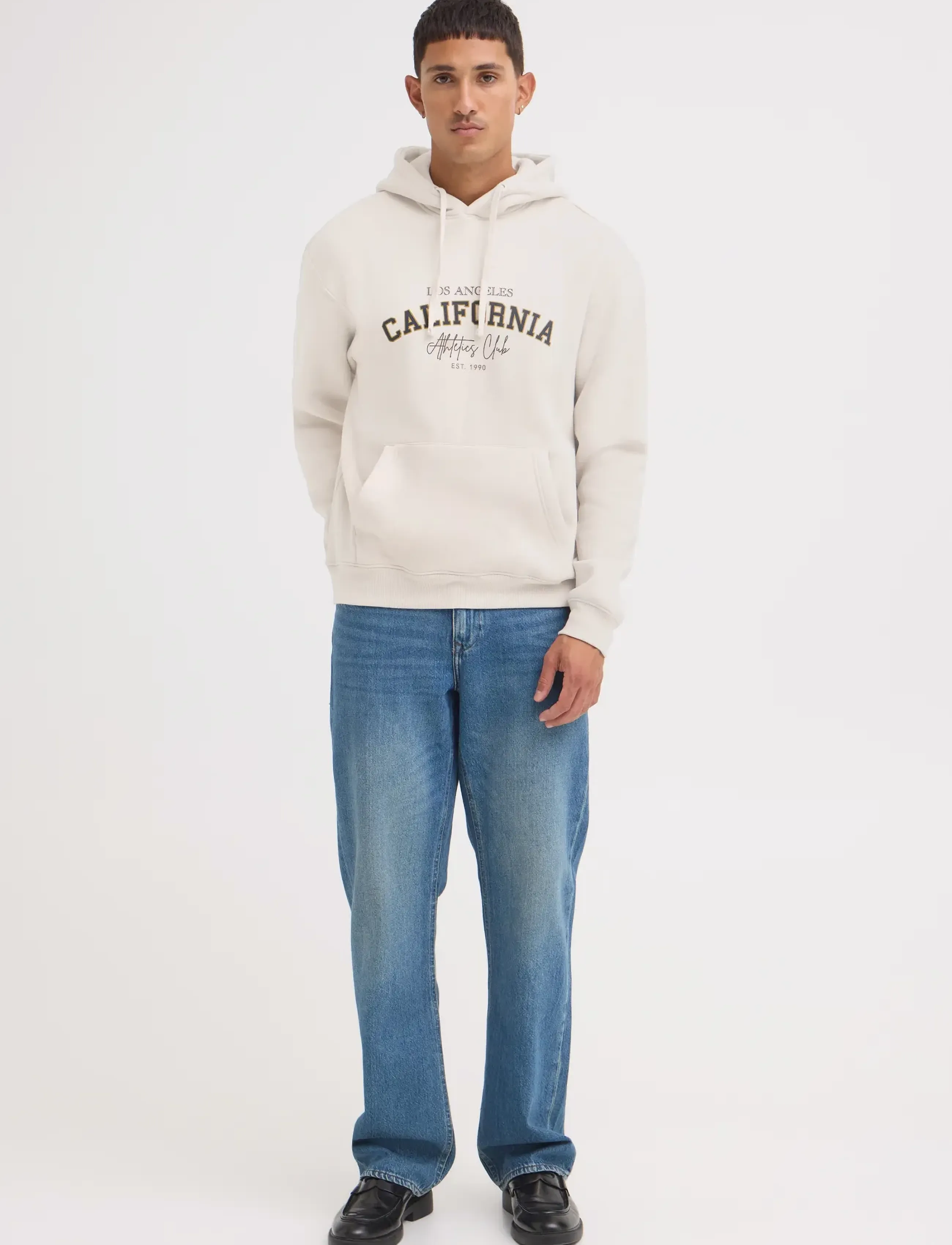 Blend BHLARREY REG HOOD SWEAT - Blend - OYSTER GRAY / beige