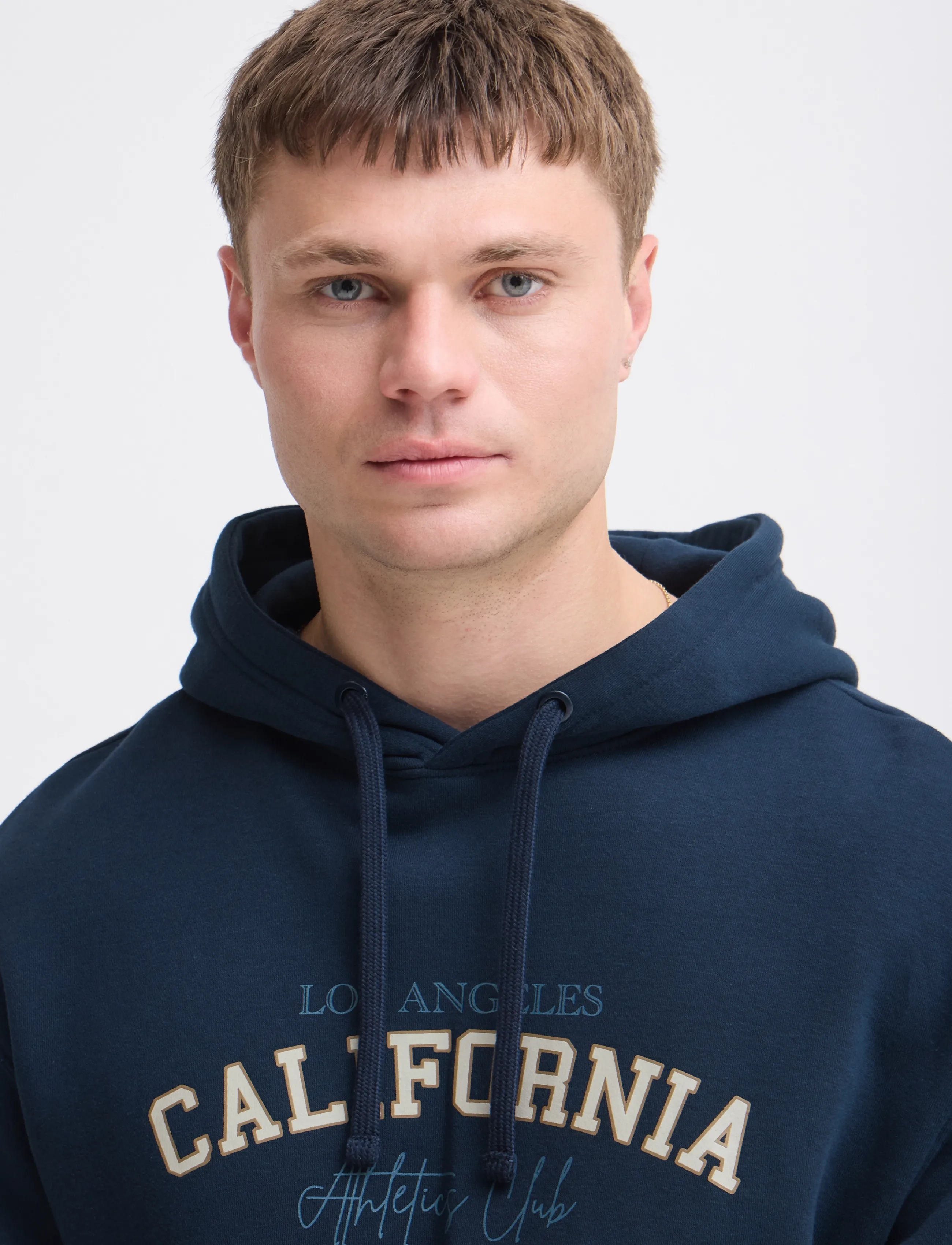Blend - BHLARREY REG HOOD SWEAT - kapuutsiga pusad - salute - 4