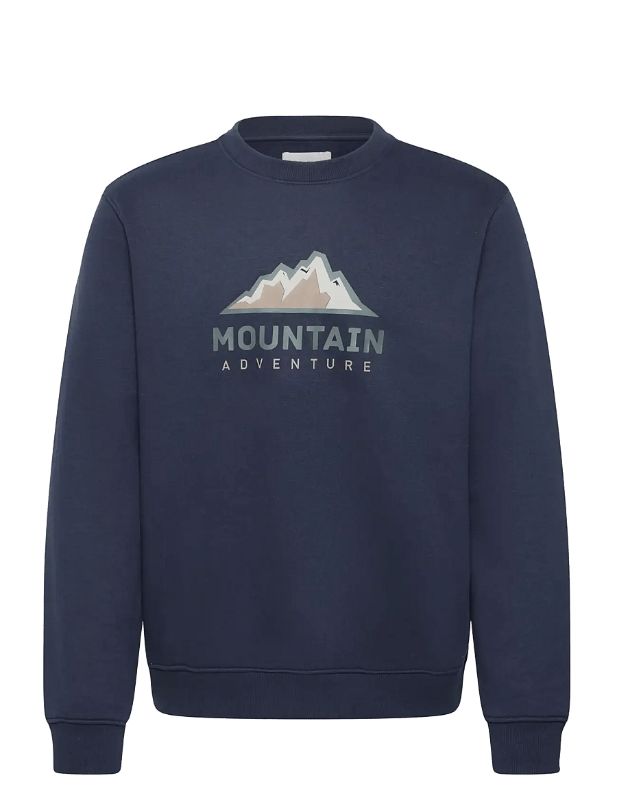 Blend - BHLUCSON REG CREW SWEAT - sweatshirts - salute - 1