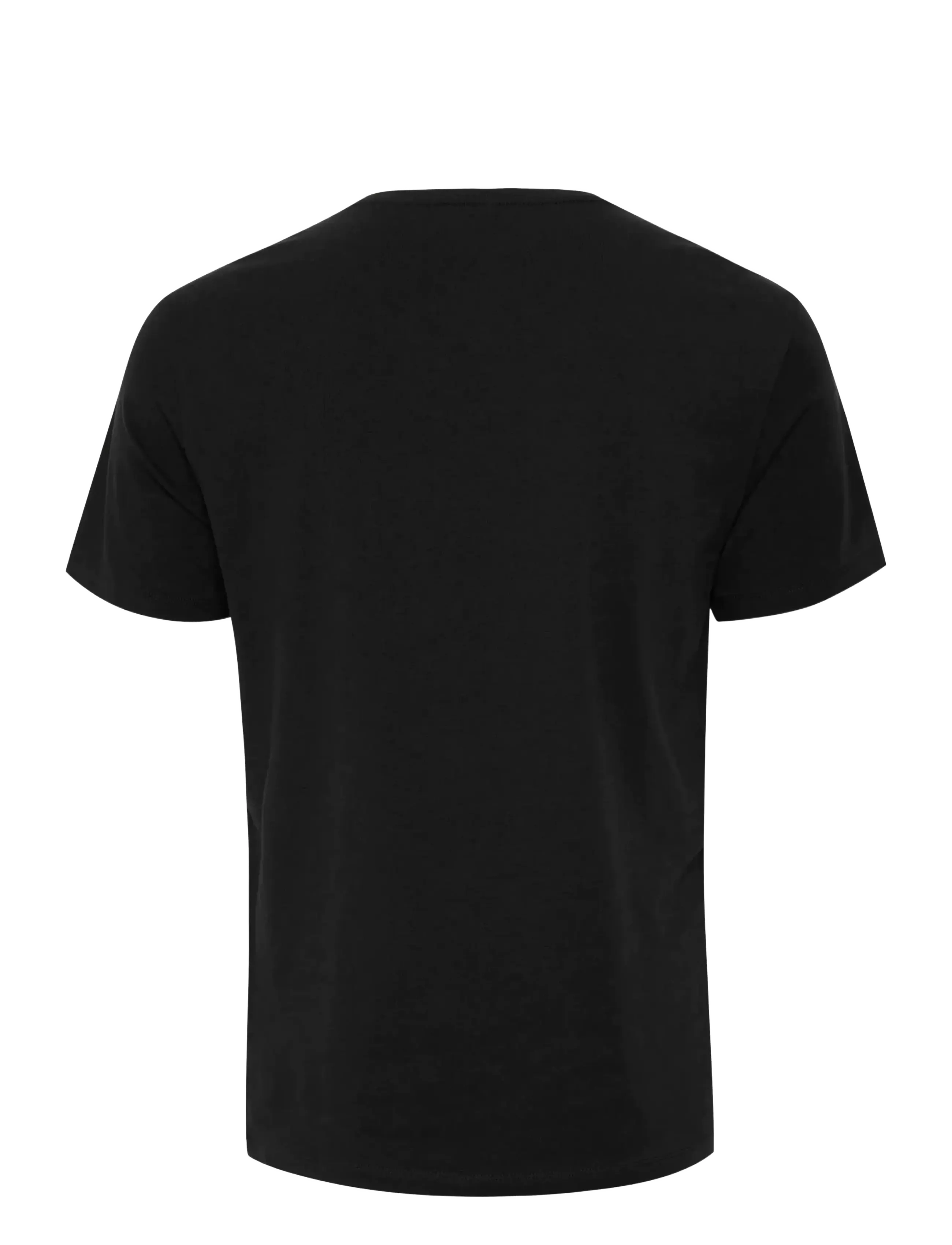 Blend - BHDINTON V-NECK TEE 2-PACK - t-skjorte med v-hals - black - 2