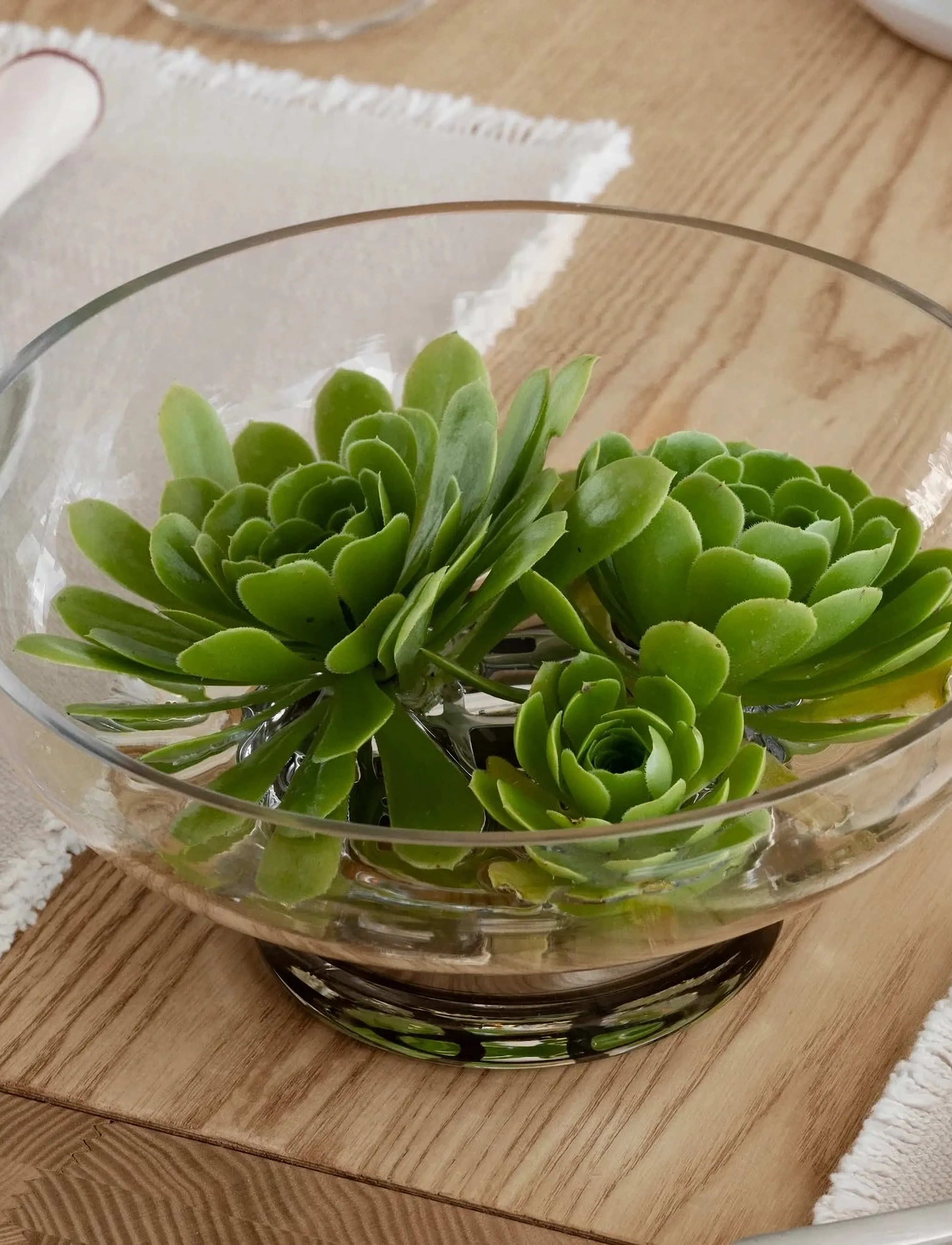 Blomus - Vase - 10 cm, Ø 23 cm - MIYABI - Clear - vaser - clear - 4