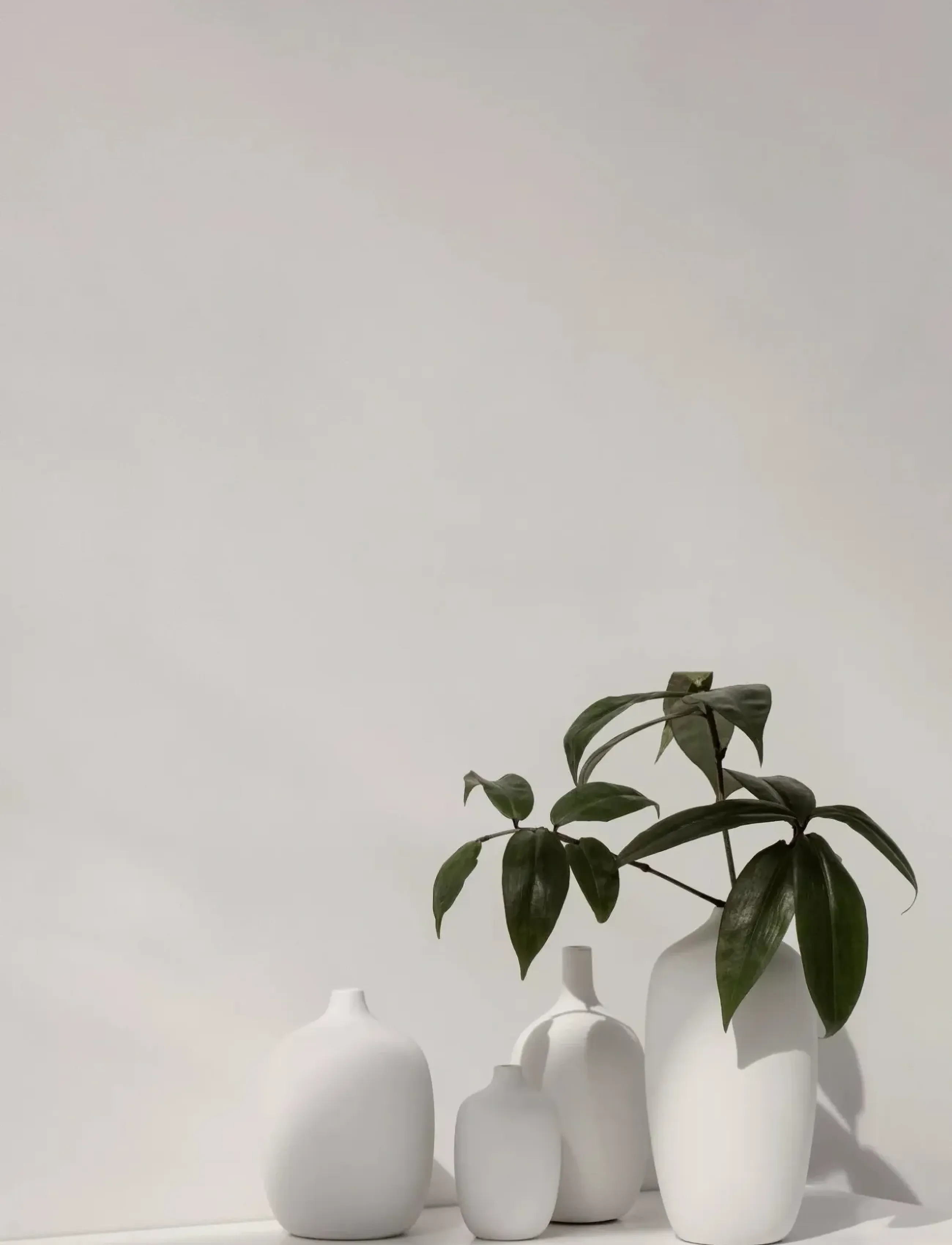 Blomus - Vase - 18 cm, Ø 8 cm - CEOLA - White - vaser - white - 3