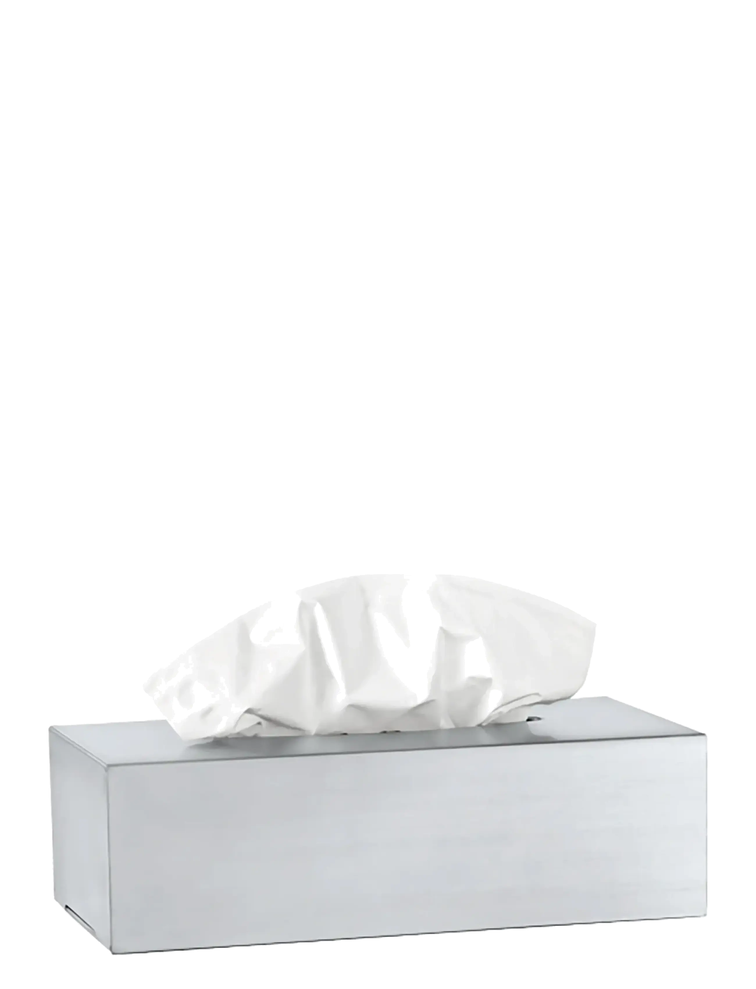 Blomus Tissue Box 8 X 12 Cm Nexio Matt, L 24 cm, Storage, Silber - Mini Boxes, Homeware