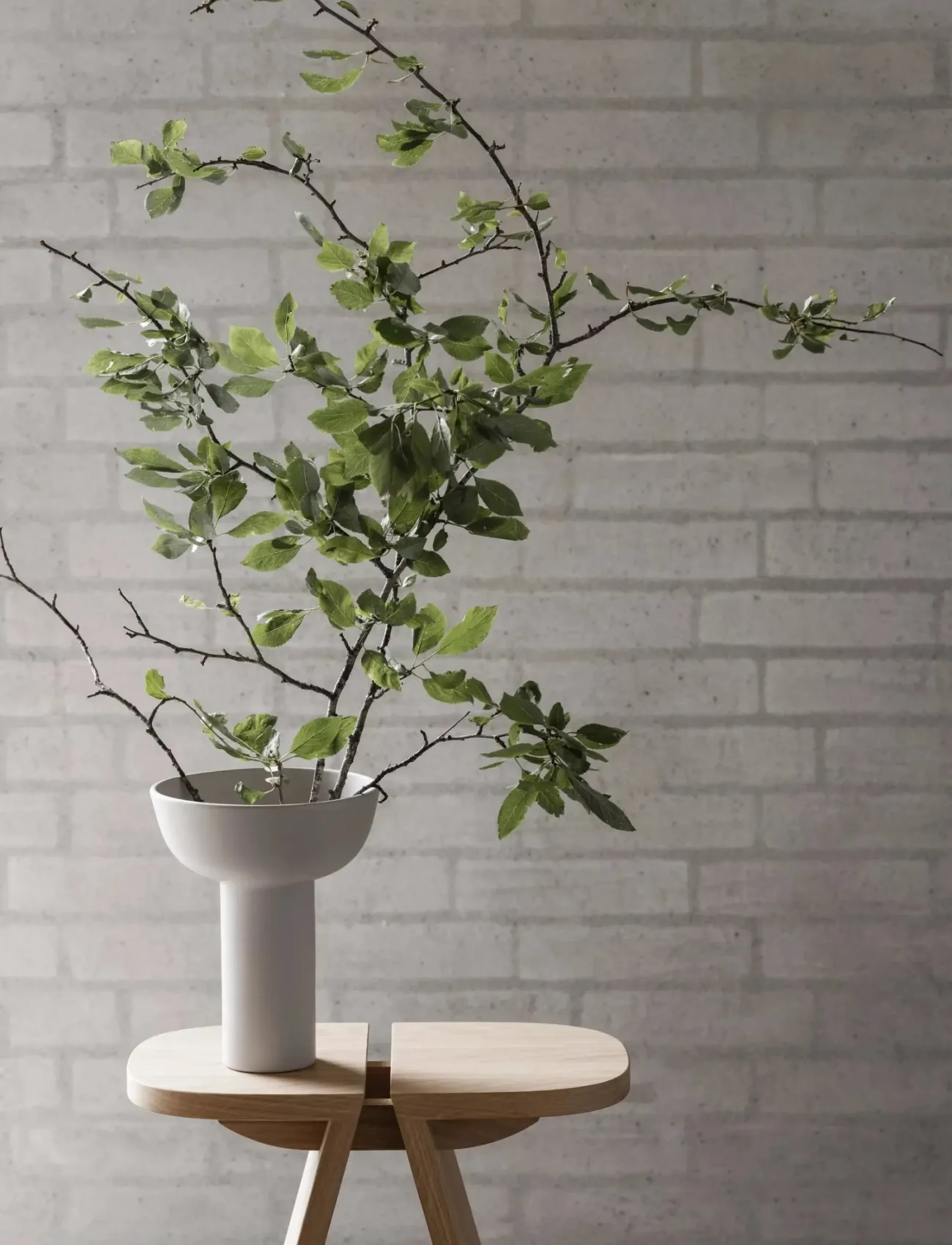 Blomus - Stool - 23 x 28 cm - AVIO - Oak - hocker & bänke - oak - 2