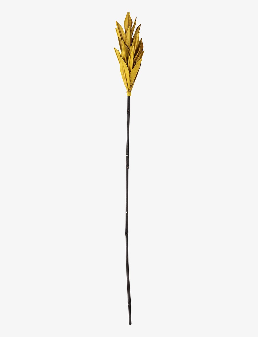 Bloomingville - Olise Branch - getrocknete blumen - nature - 0