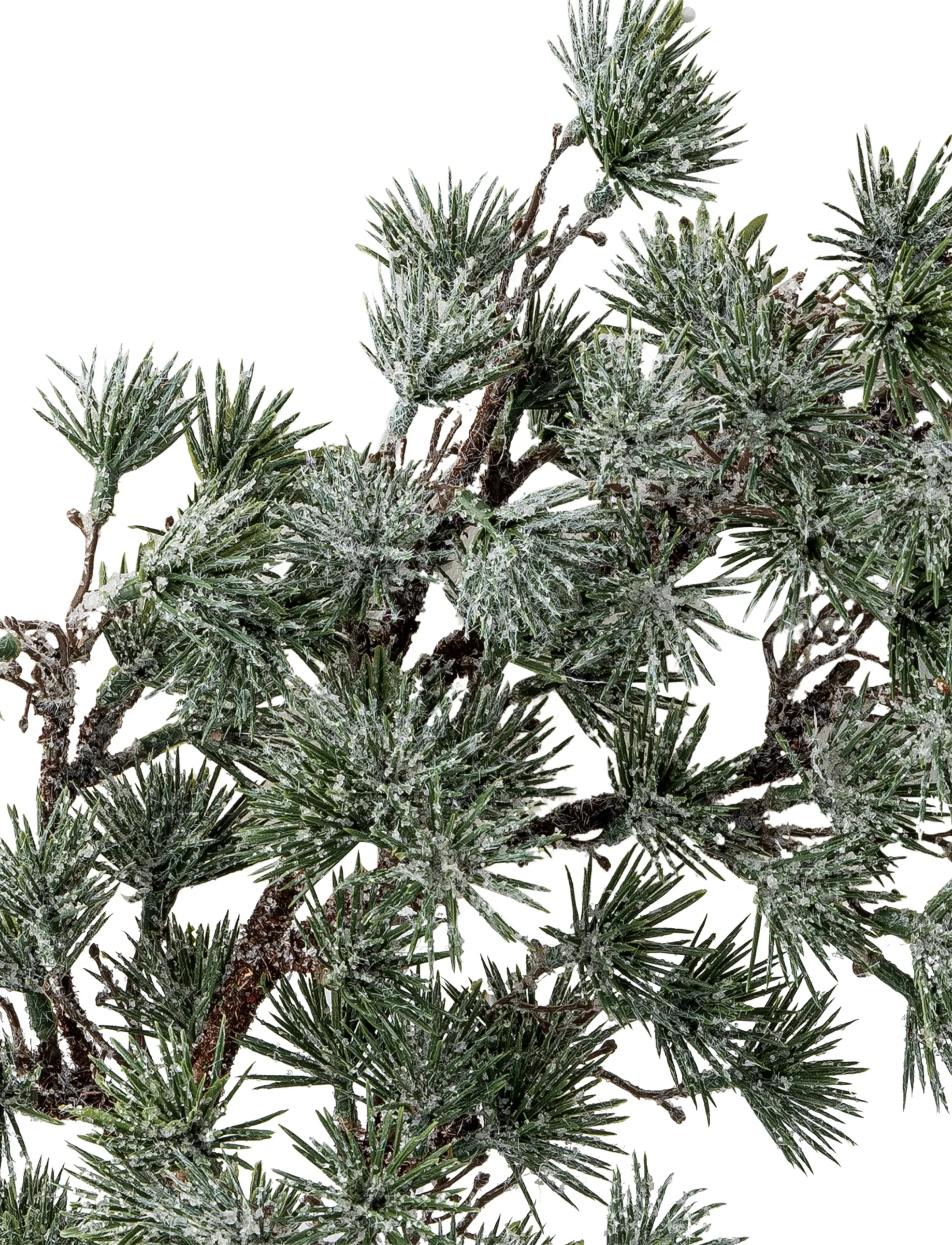 Bloomingville - Cedar Wreath - weihnachtskugeln - green - 2